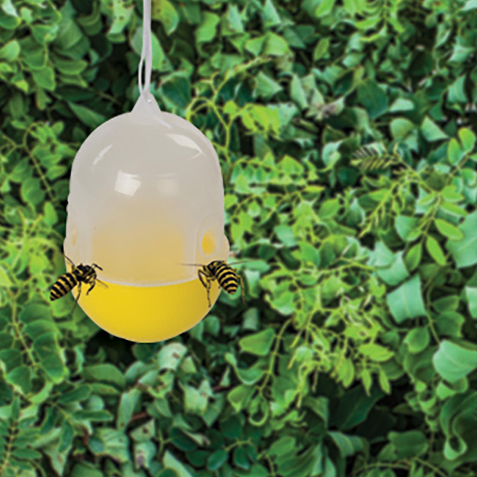 Wasp Trap 125 X 80 X 80mm Fast Efficient Pest Insect Control Repel New