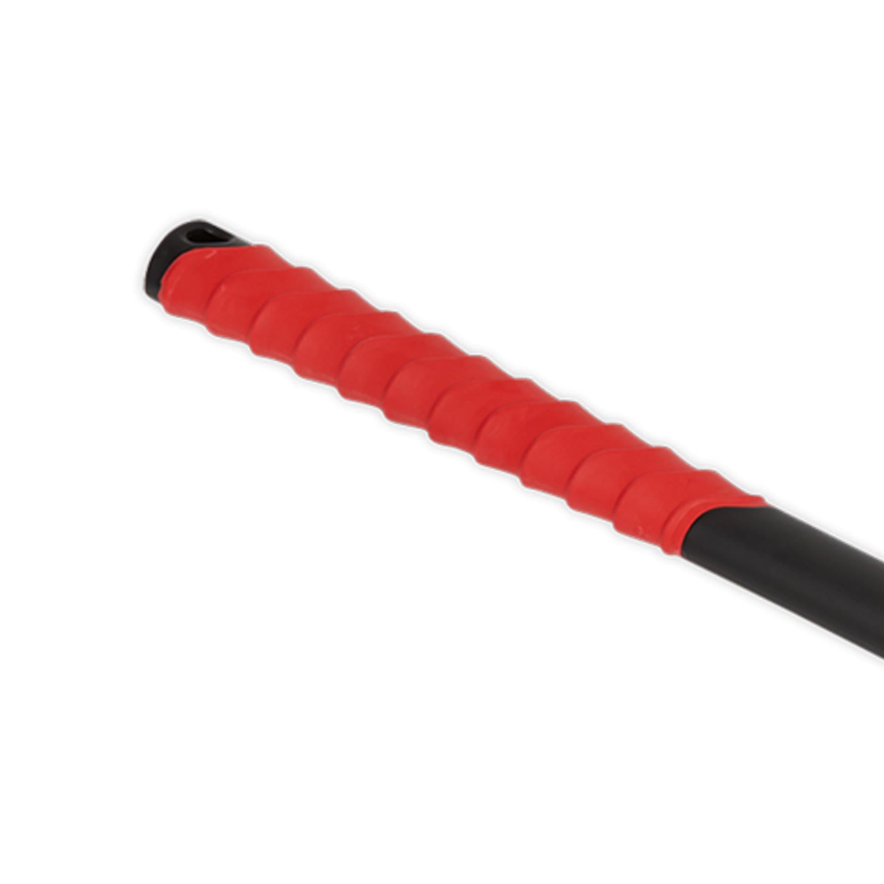 Sealey Sledge Hammer 10lb Fibreglass Shaft