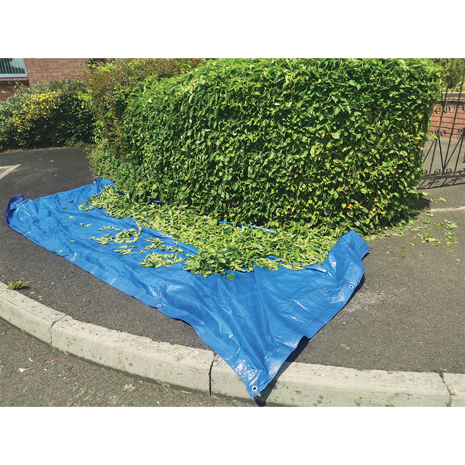 Waterproof Tarpaulin Sheet 2.4Mx3M Heavy Duty Cover Tarp Pvc Tear Proof