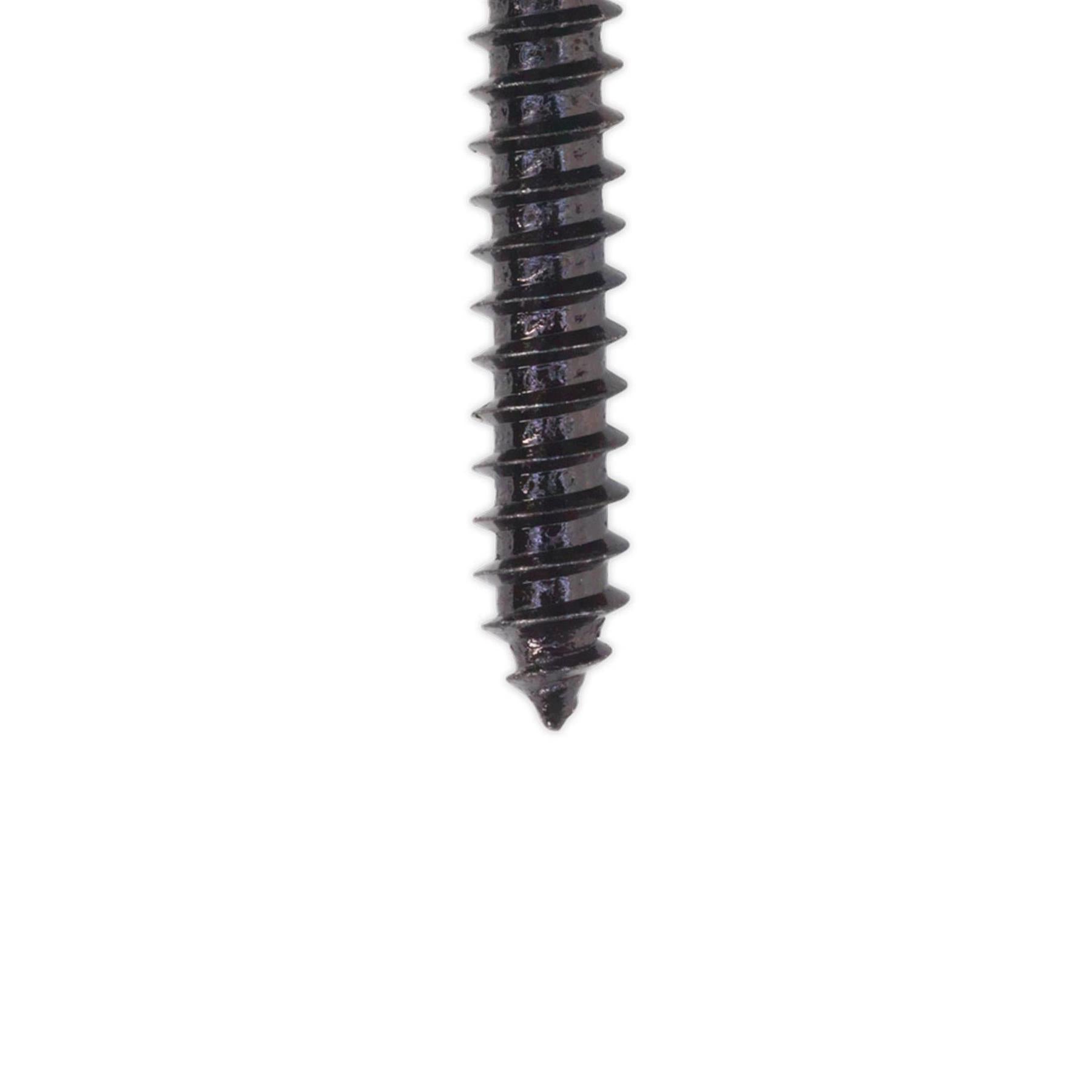 Self Tapping Screw 4.2 x 25mm Flanged Head Black Pozi Pack of 100 Sealey