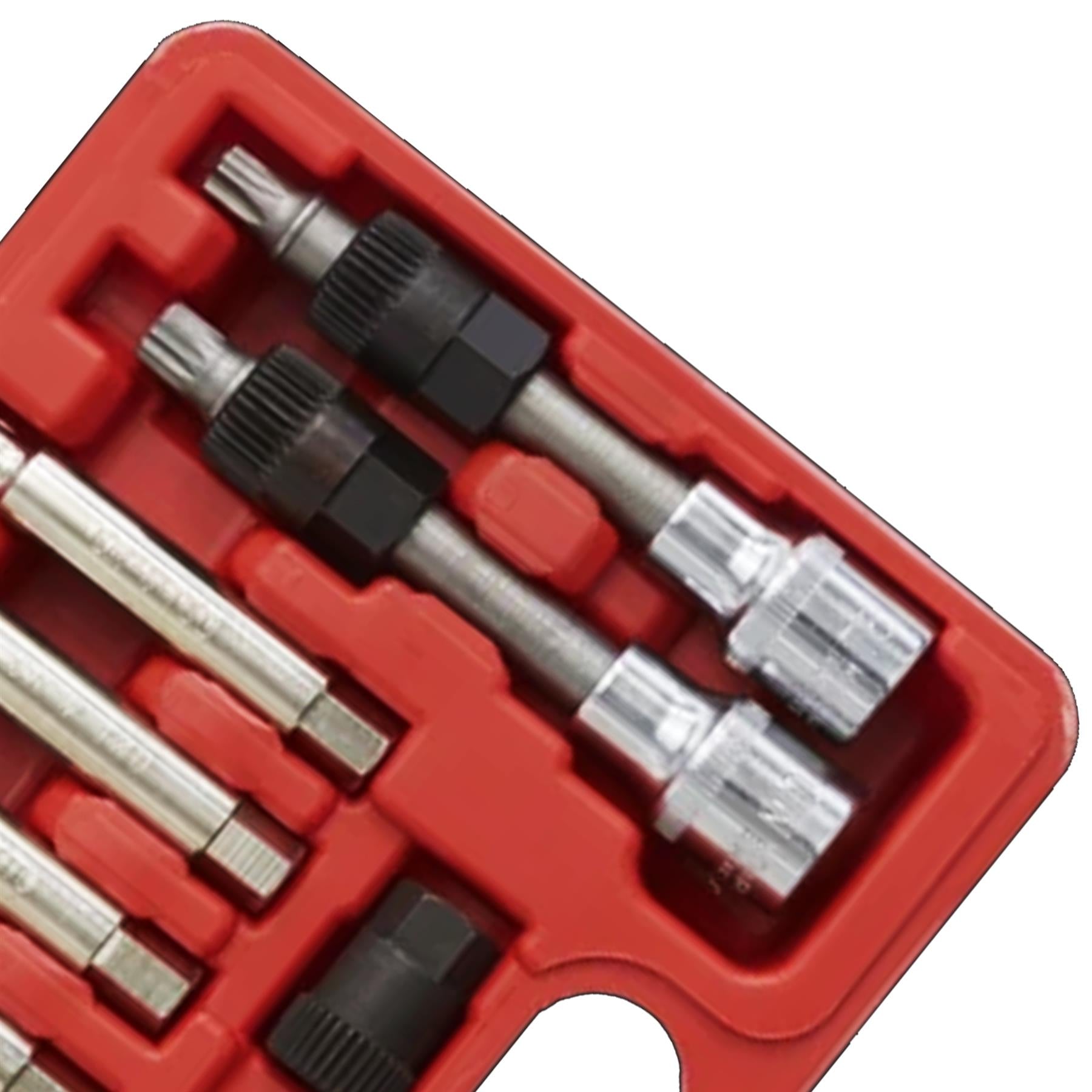 Sealey Alternator Freewheel Removal Set 13pc