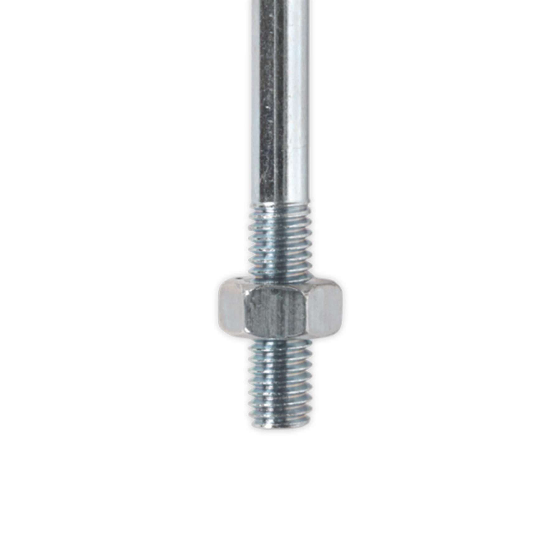 Sealey Coach Bolt & Nut DIN 603 M6 x 75mm Zinc Pack of 100