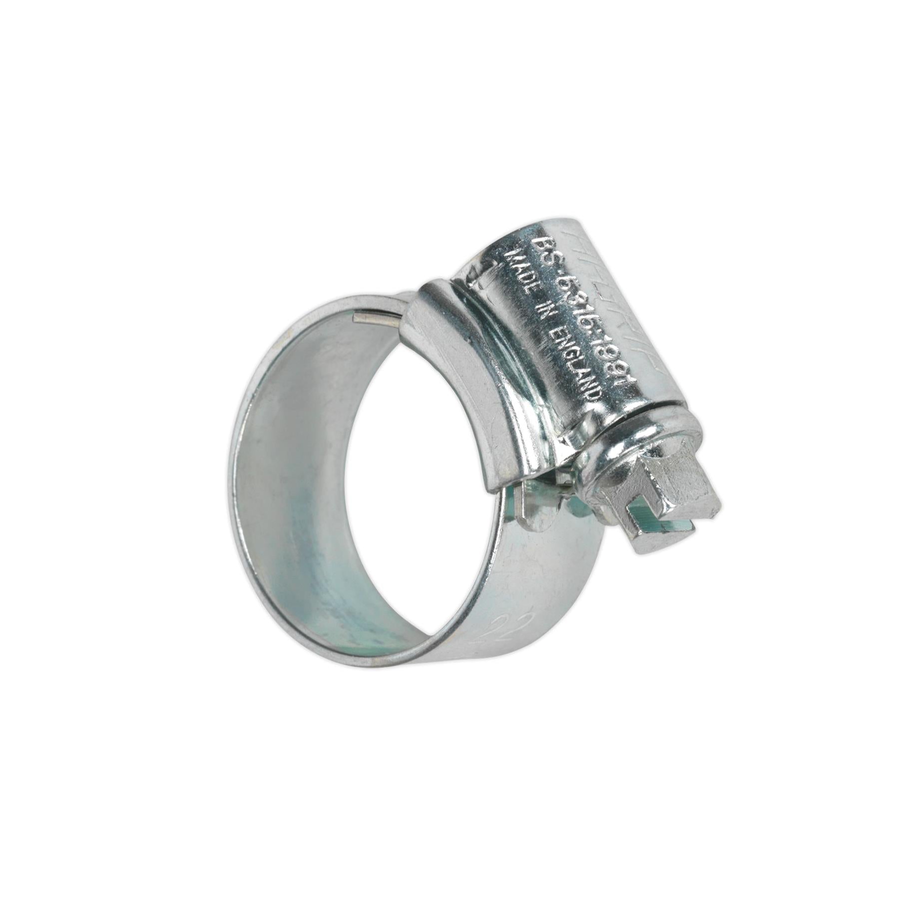 Sealey HI-GRIP Hose Clip Zinc Plated 14-22mm Pack of 30