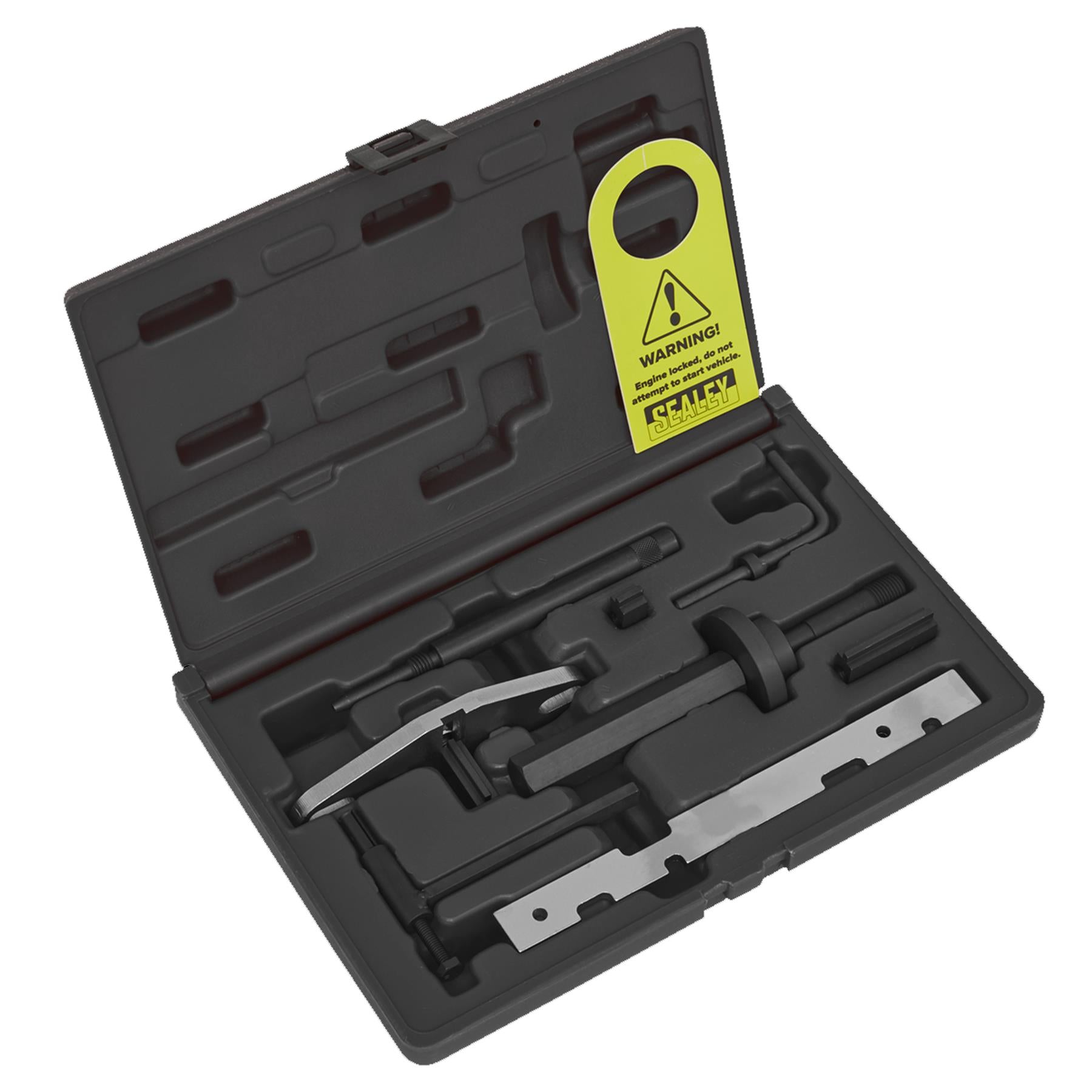 Die Eng S/L Kit & Timing Chain R&I Kit-Ford-Belt/Chain Drive. Sealey