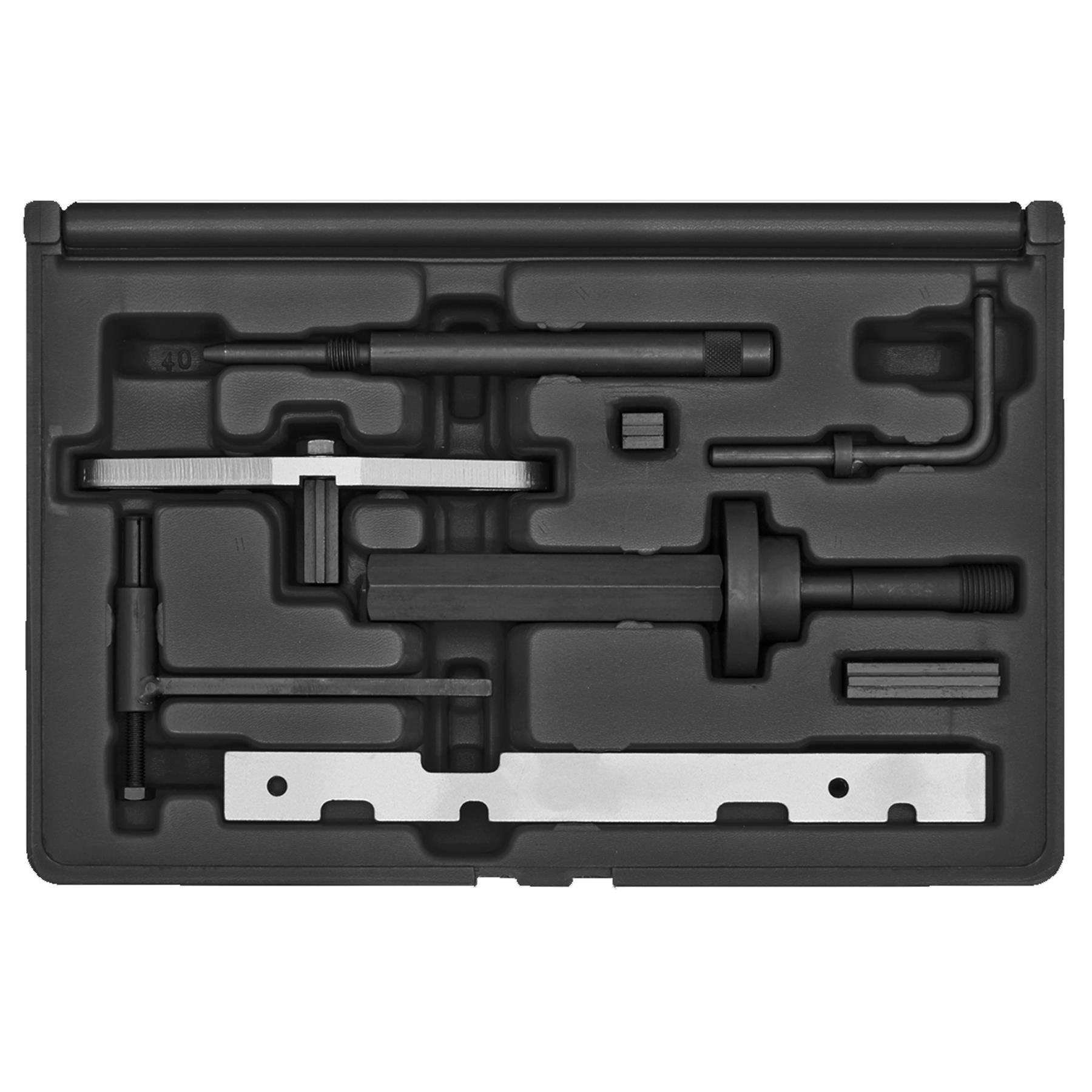 Die Eng S/L Kit & Timing Chain R&I Kit-Ford-Belt/Chain Drive. Sealey