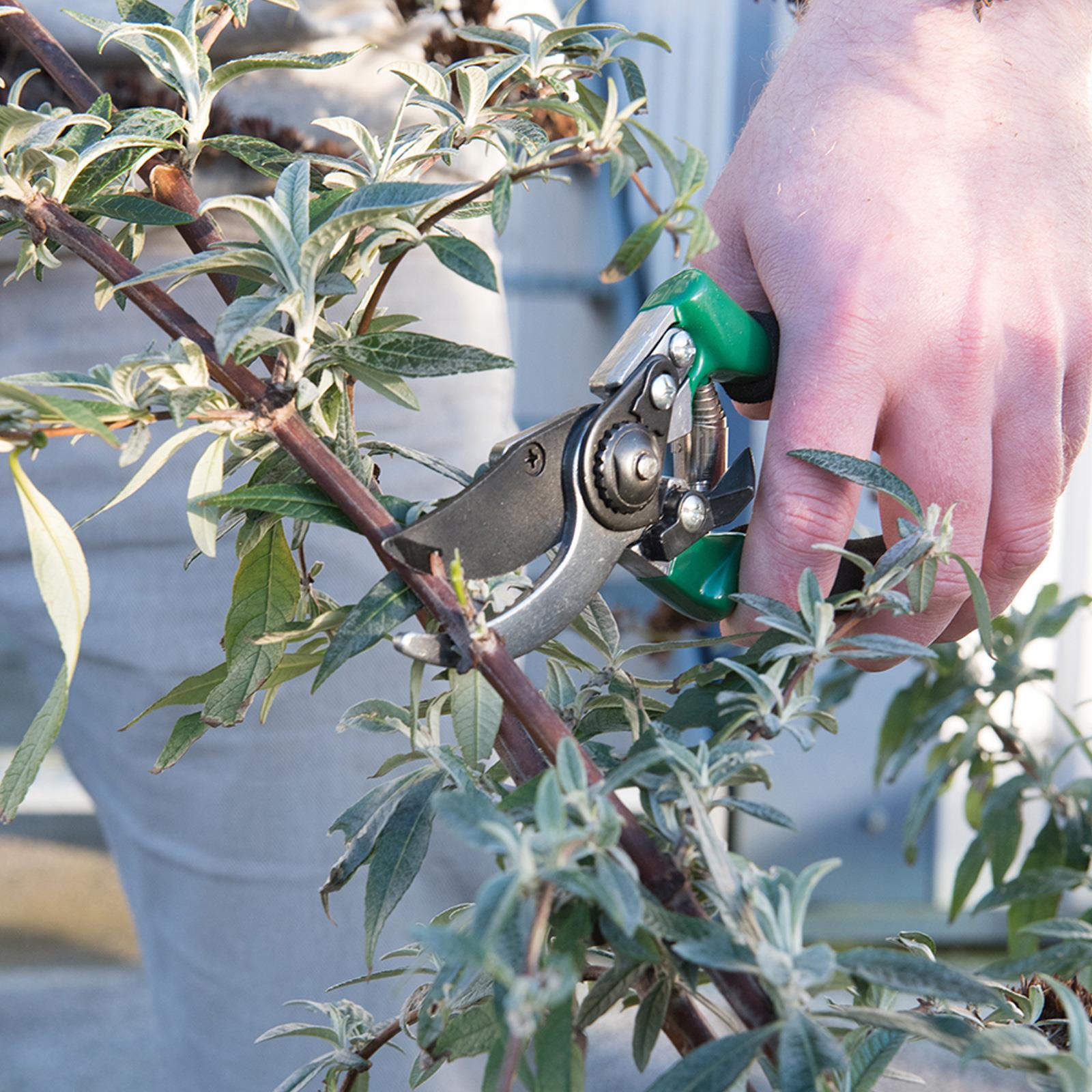 Pruning Shears 200mm Hand Tool Garden Plant Bush Trim Cutters Aluminum Handle