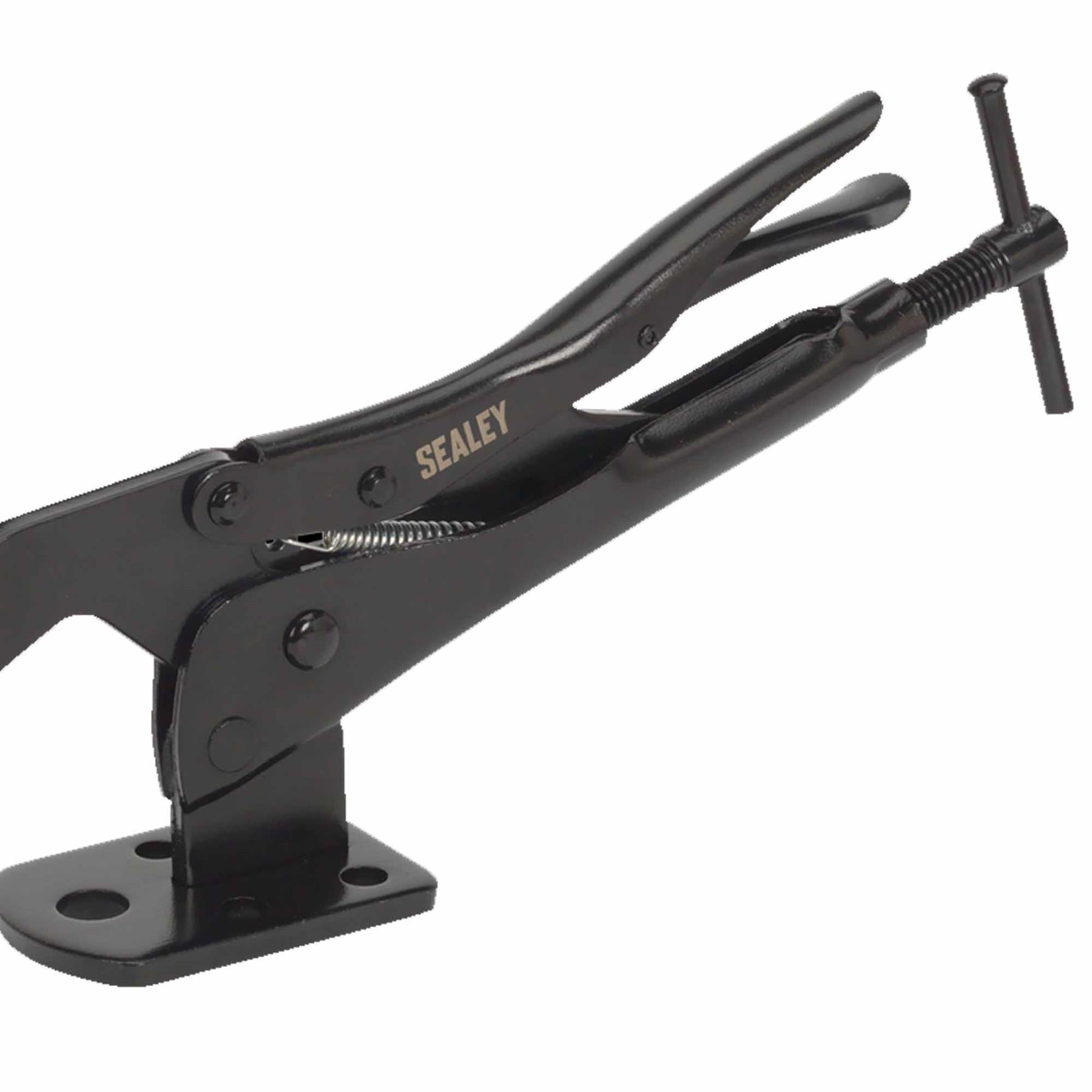 Table/Workbench C-Clamp with Swivel Foot.AK2141. Sealey