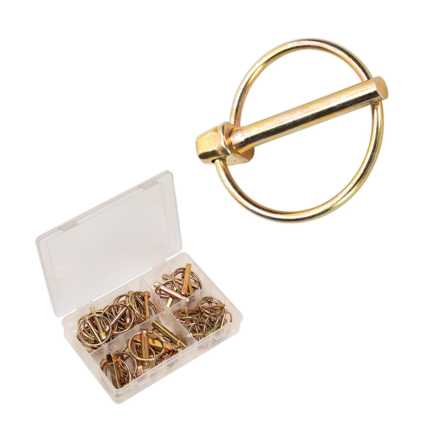 Sealey 50pc Lynch Pin ( Linchpin ) Locking Pin Clip Assortment Set Metric