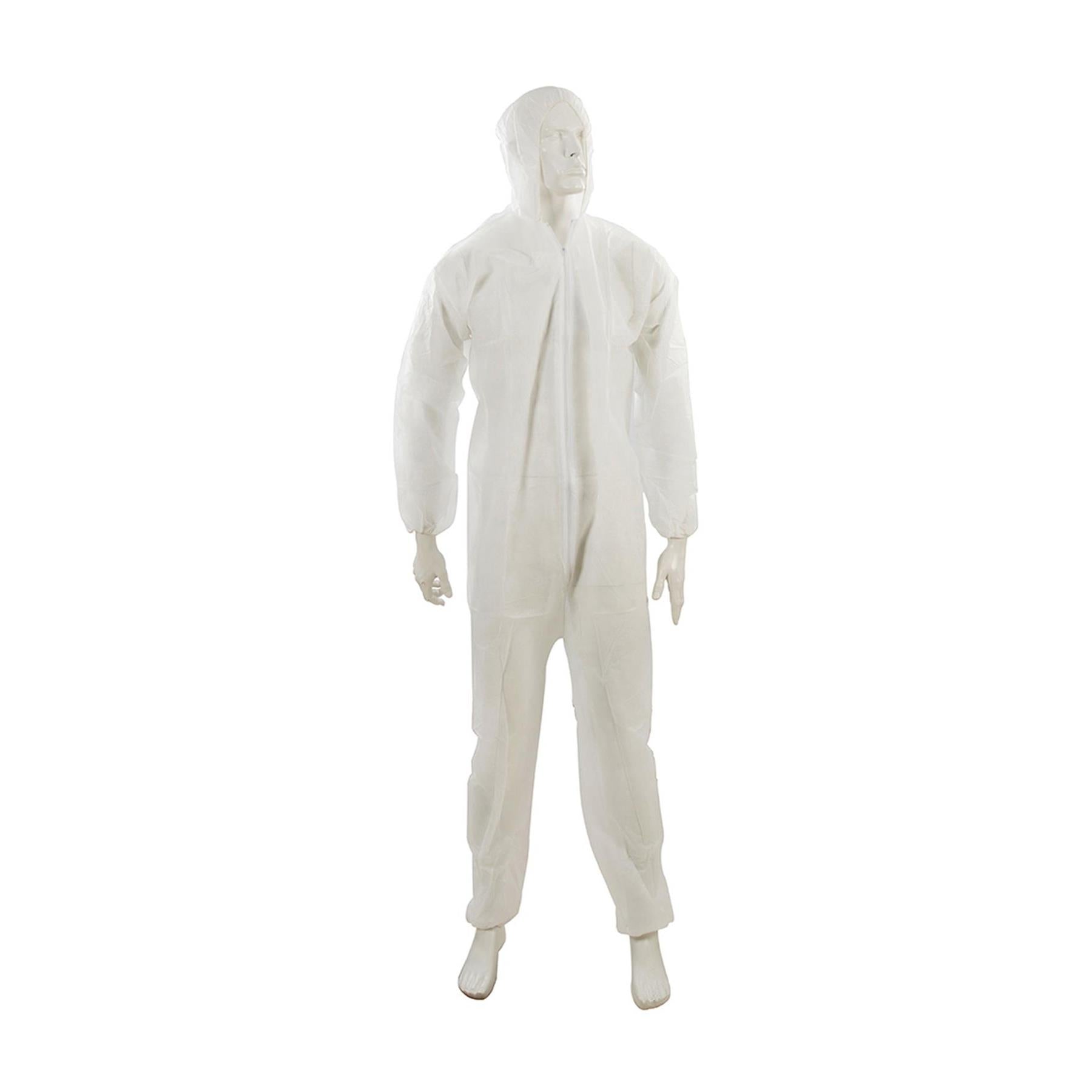 10 x Disposable Paper