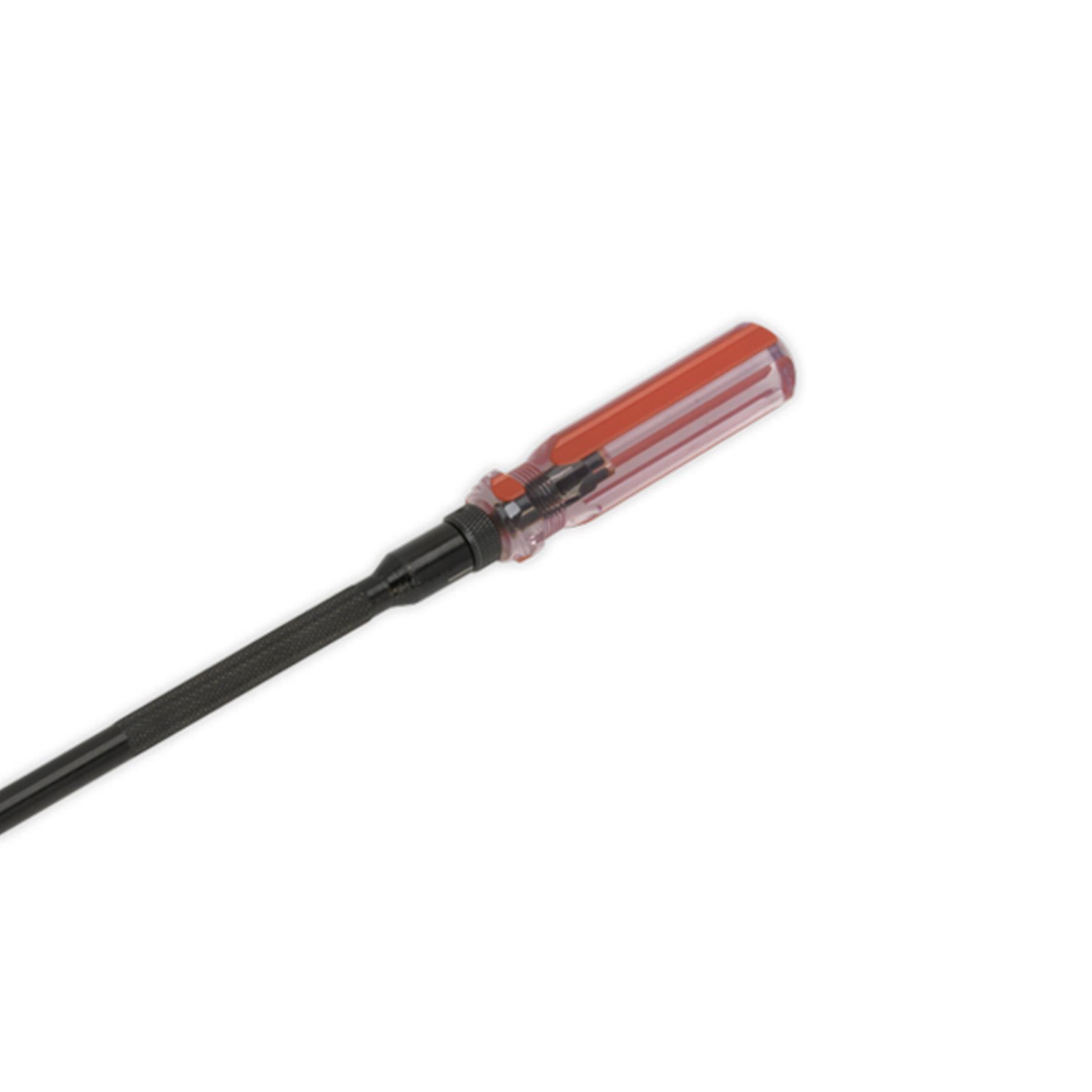 Sealey Pilot Screw Adjusting Tool