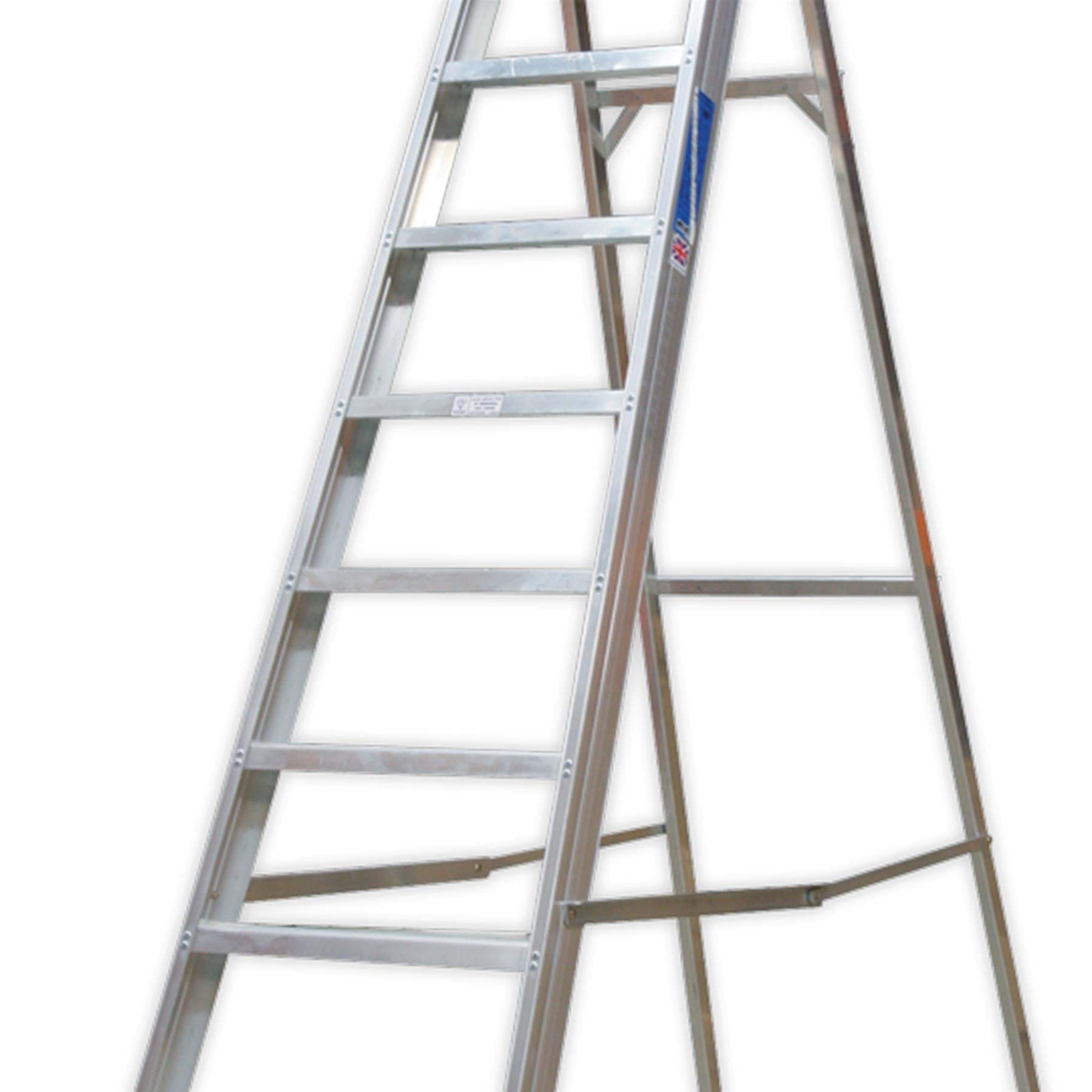 Sealey Aluminium Step Ladder 10-Tread Industrial BS 2037/1