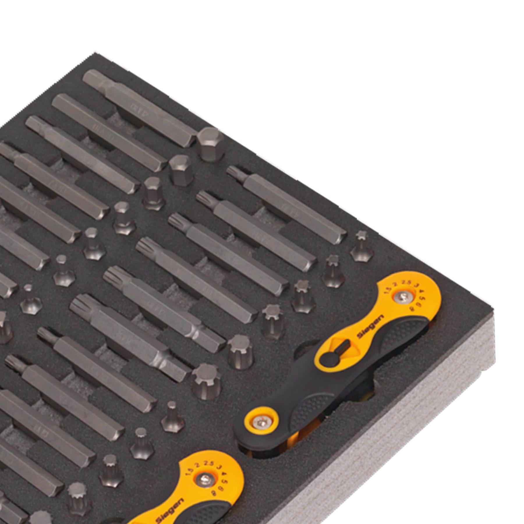 Sealey Tool Tray with Specialised Bits & Folding Hex Keys 192pc