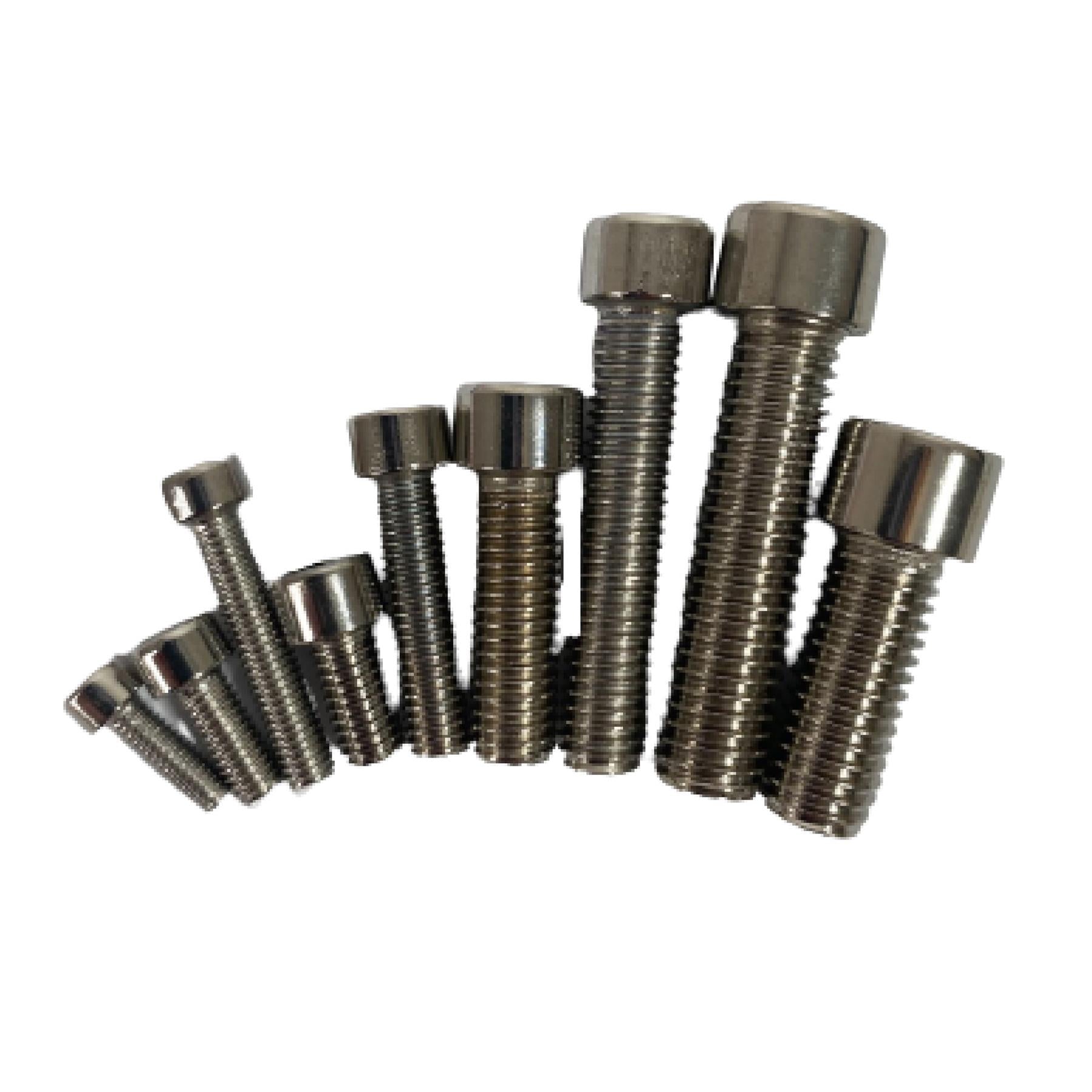 106Pcs Assorted Stainless Steel Hex Screws 201 S/S Hex Cap Bolts and Nuts