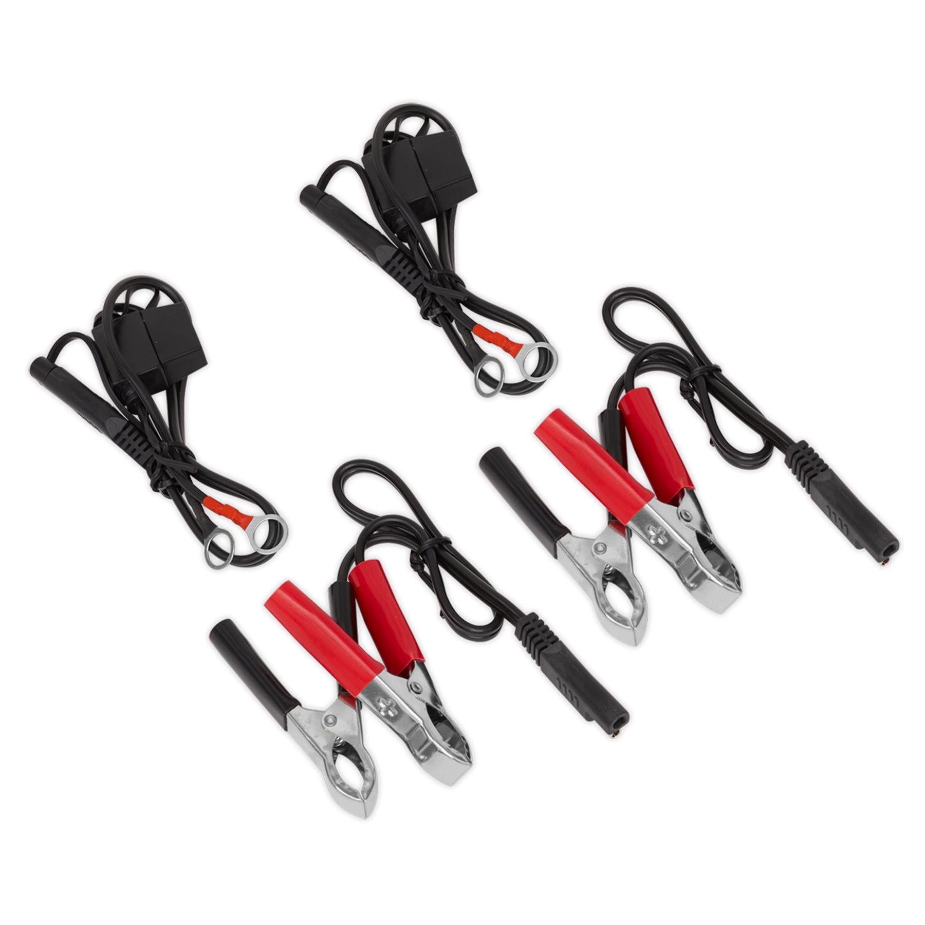 Sealey Two Bank 6/12V 10Amp (2 x 5A) Auto Maintenance Charger