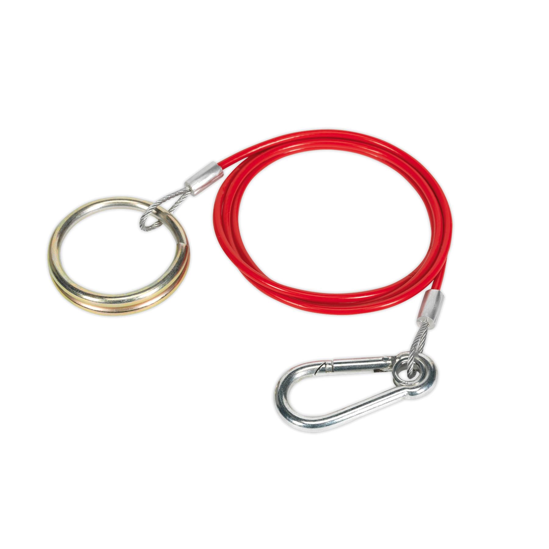 Sealey Breakaway Cable 1m x 2mm
