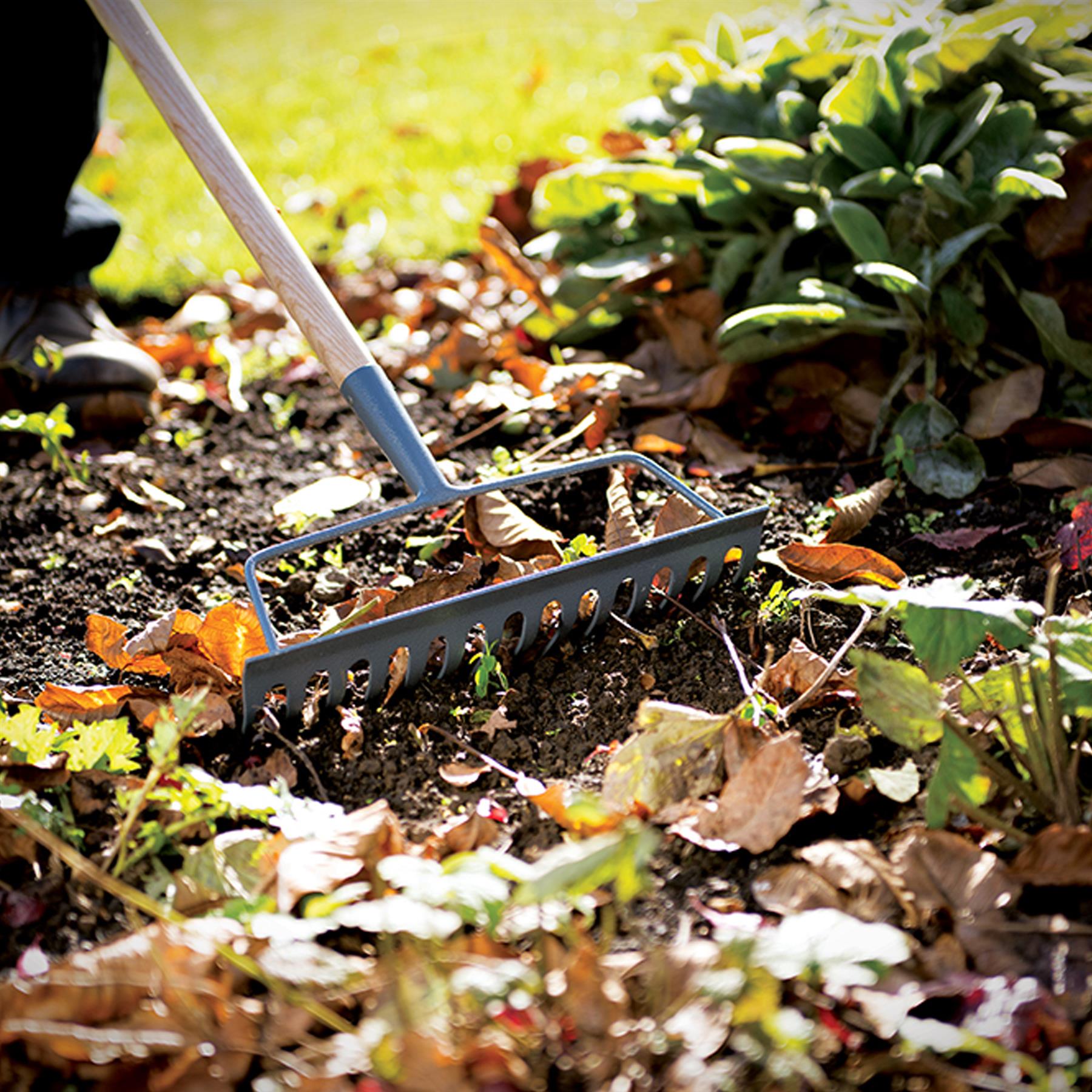 Somerset Collection Garden Rake Premium Ash 1320mm Ideal For Cultivating Soil