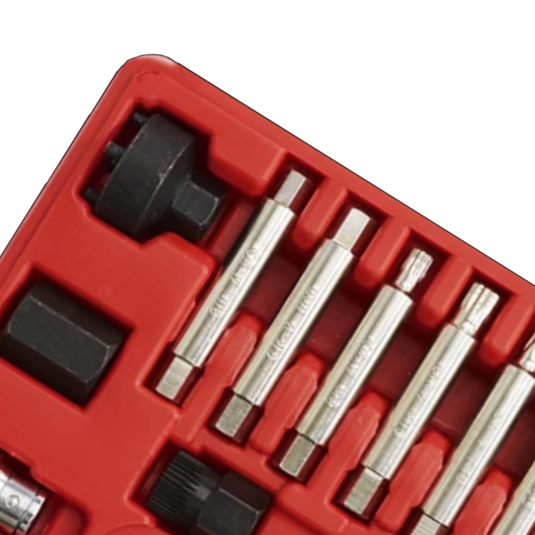 Sealey Alternator Freewheel Removal Set 13pc