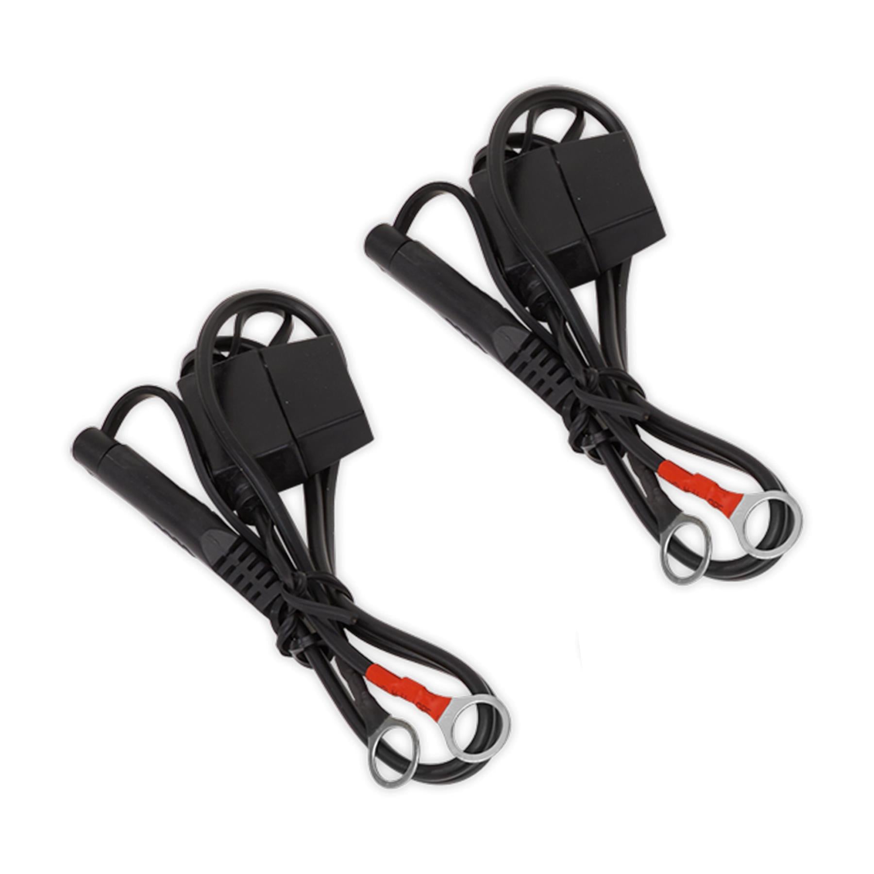 Sealey Two Bank 6/12V 10Amp (2 x 5A) Auto Maintenance Charger