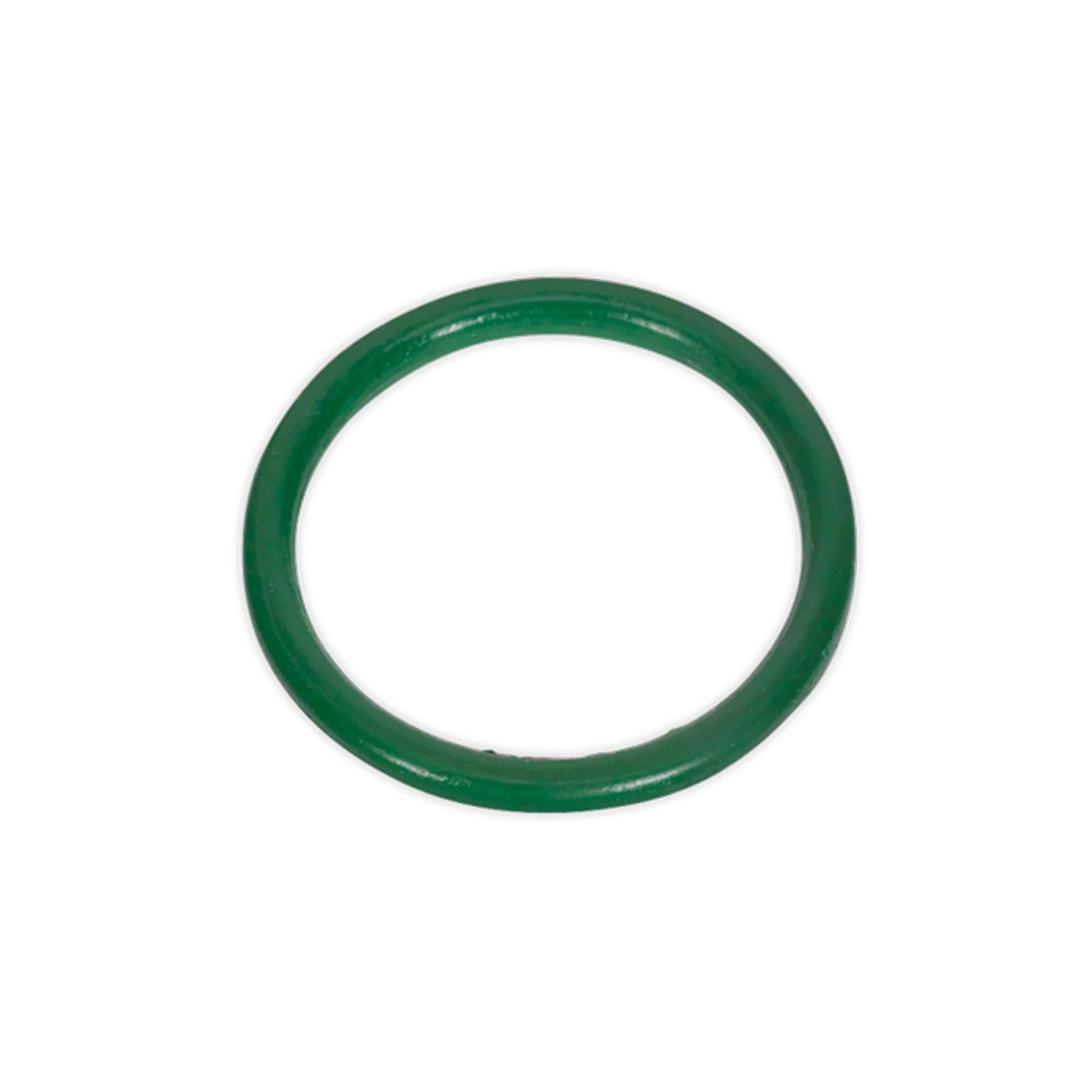 Sealey Viton® Seal Kit For Model No's SCSG02 & SCSG03