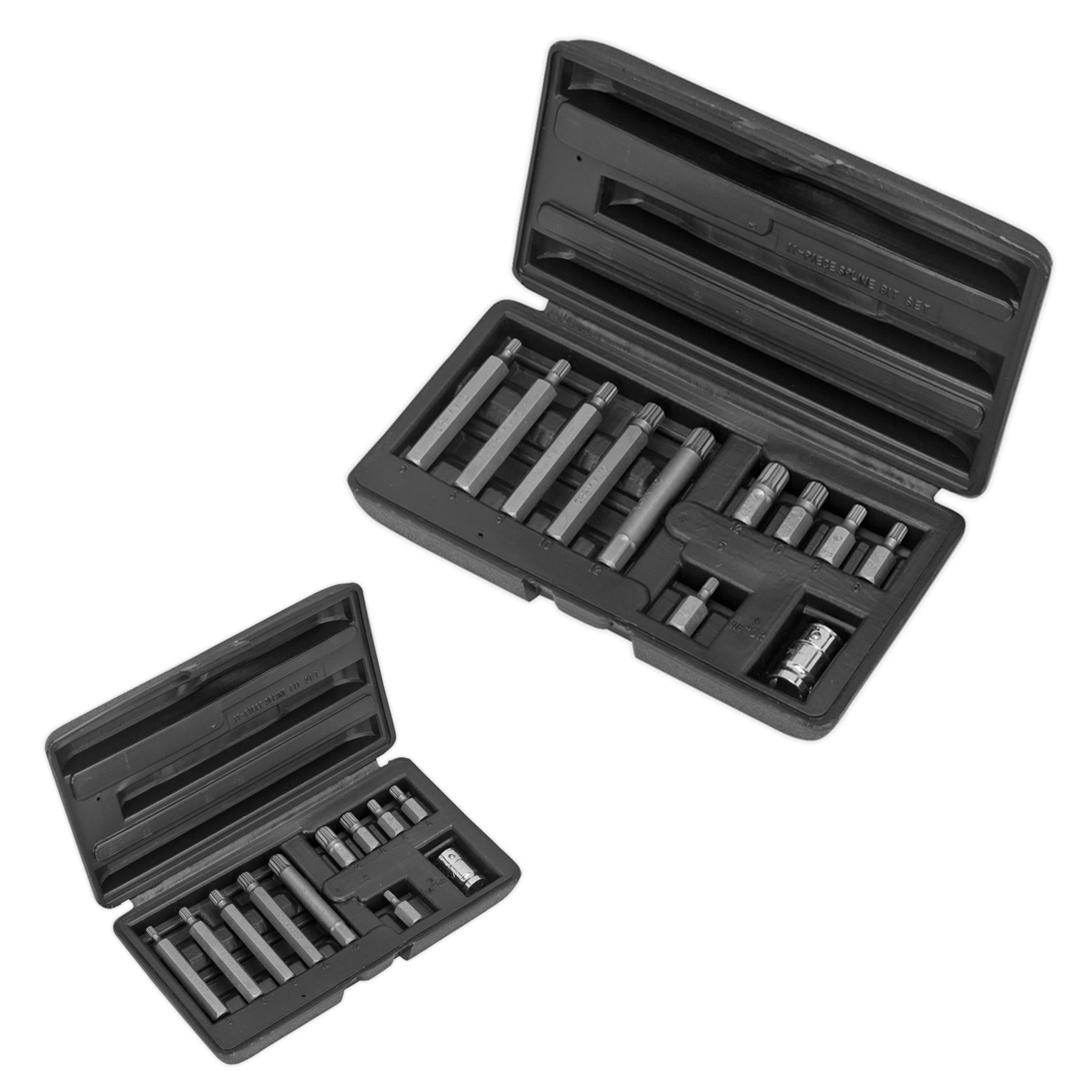 Sealey Spline Bit & Holder Set 11pc - 3/8"Sq Drive