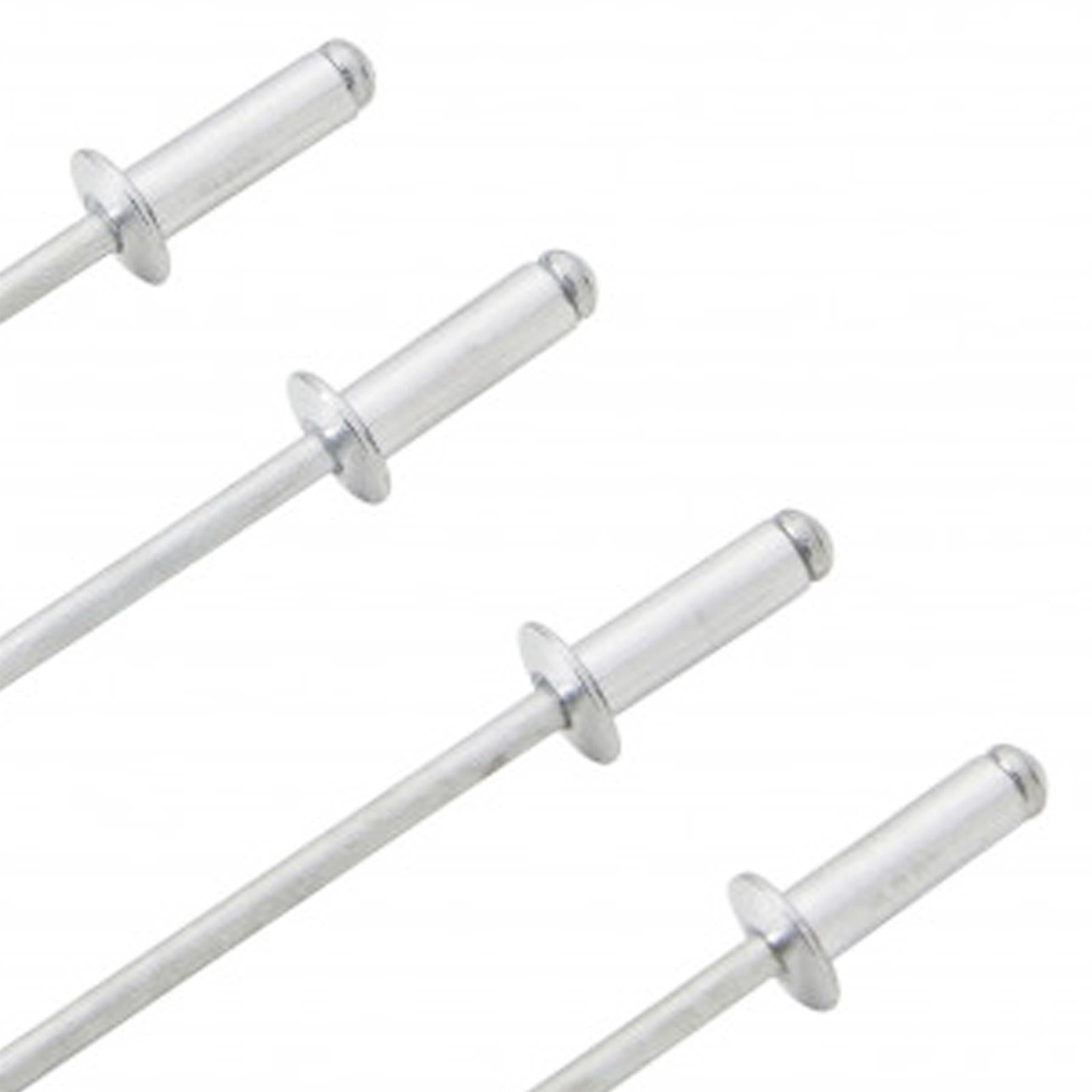 BlueSpot Rivet Guns 100Pce 3.2mm X 10mm & Aluminium Pop Rivits Trade