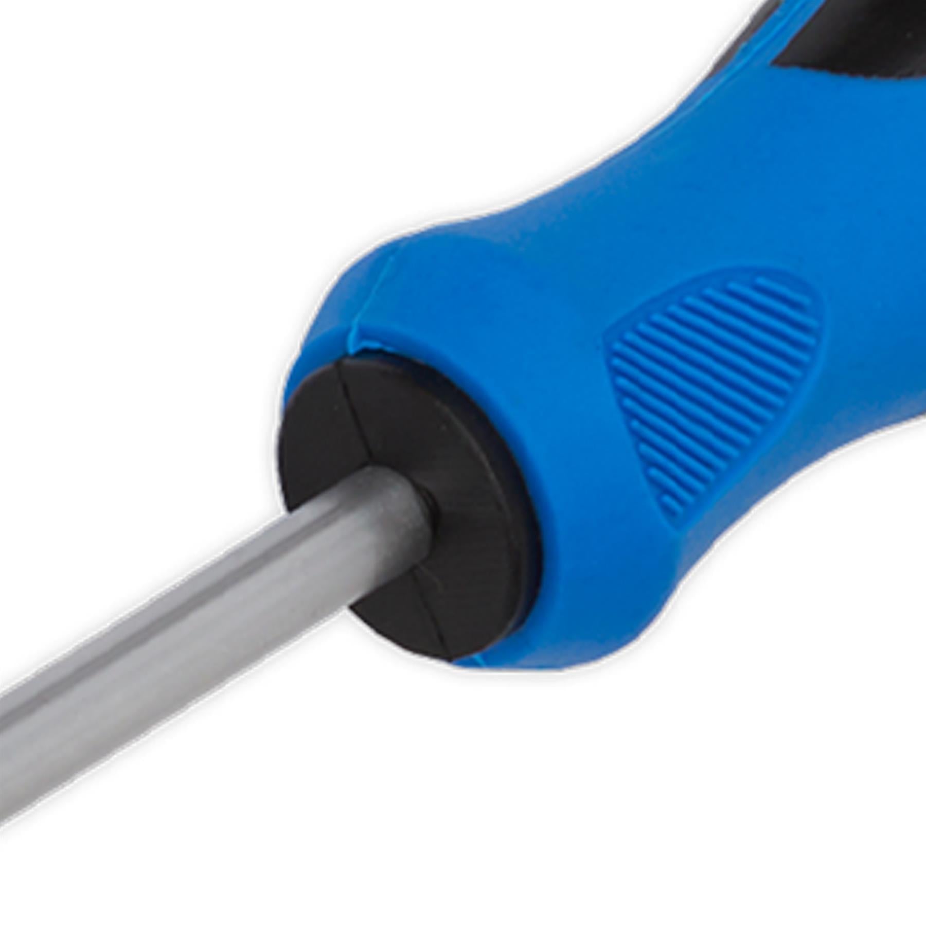 Sealey Screwdriver Phillips #2 x 100mm