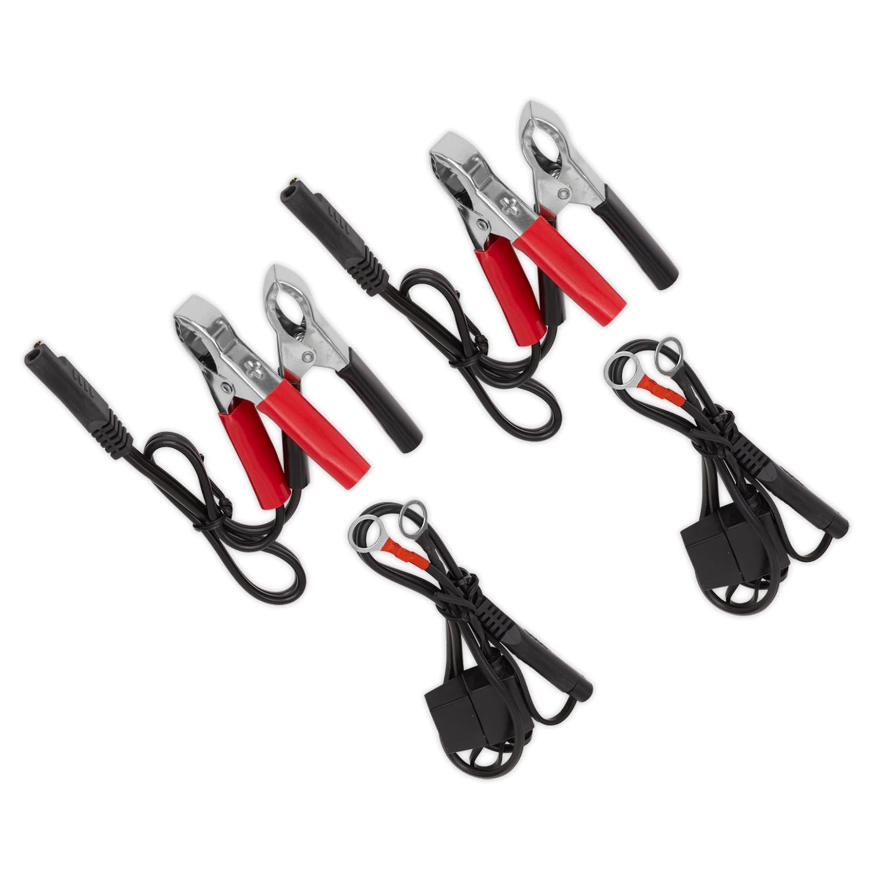 Sealey Two Bank 6/12V 10Amp (2 x 5A) Auto Maintenance Charger