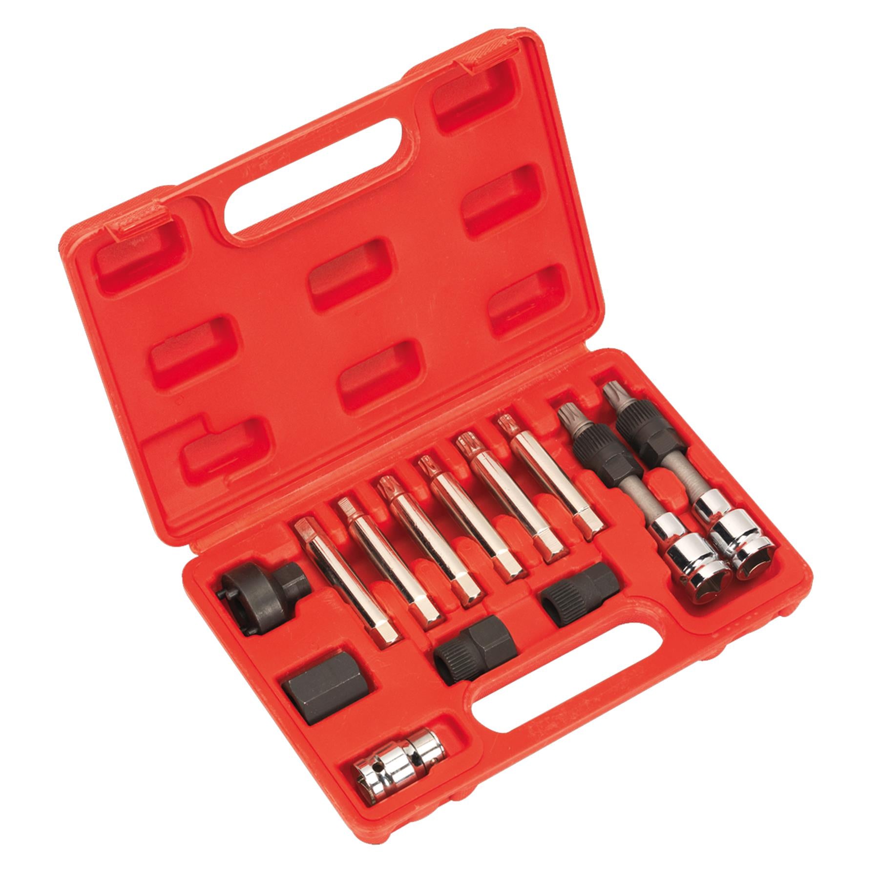 Sealey Alternator Freewheel Removal Set 13pc