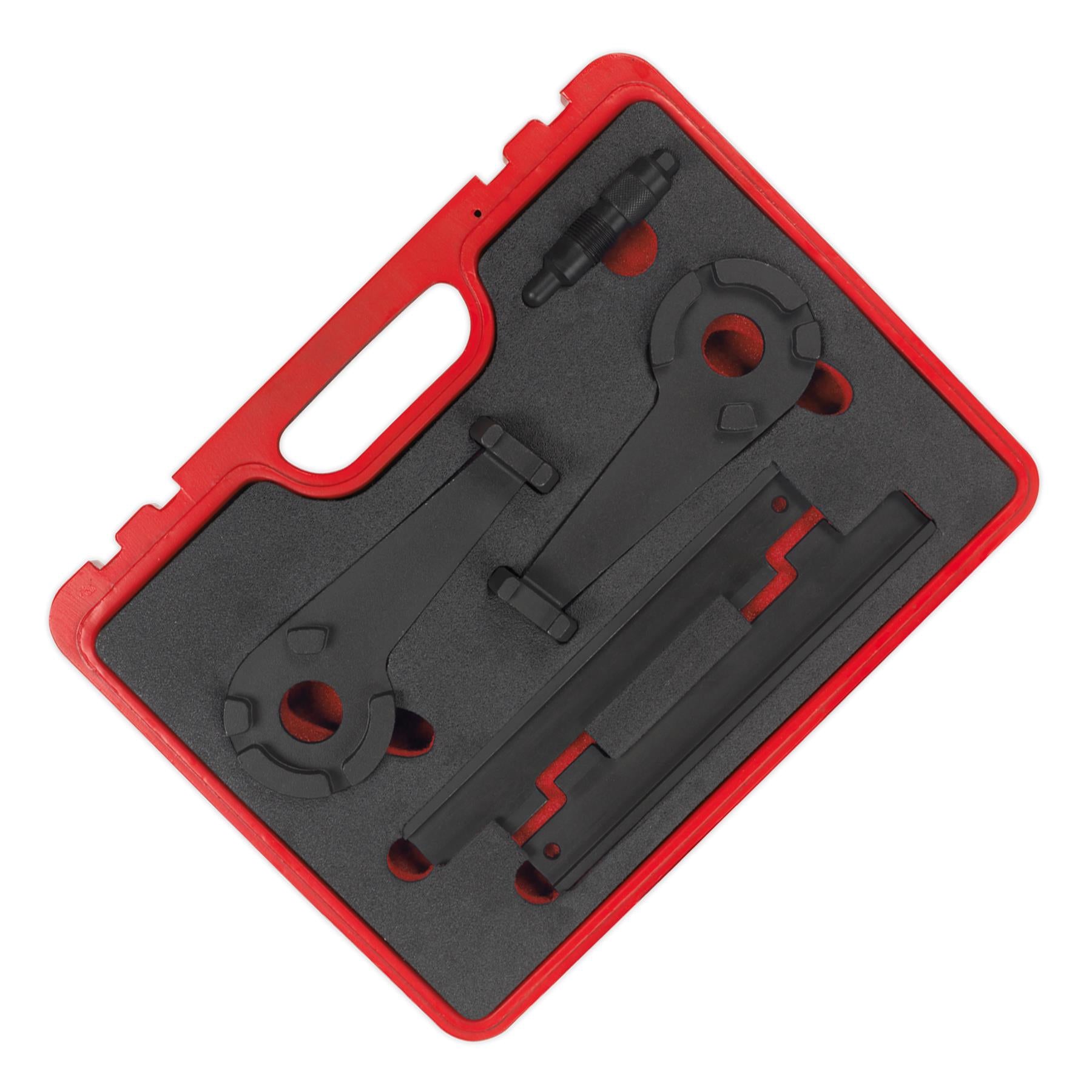 Sealey Petrol Engine Timing Tool Kit - Audi 4.2 V8 - Chain Drive