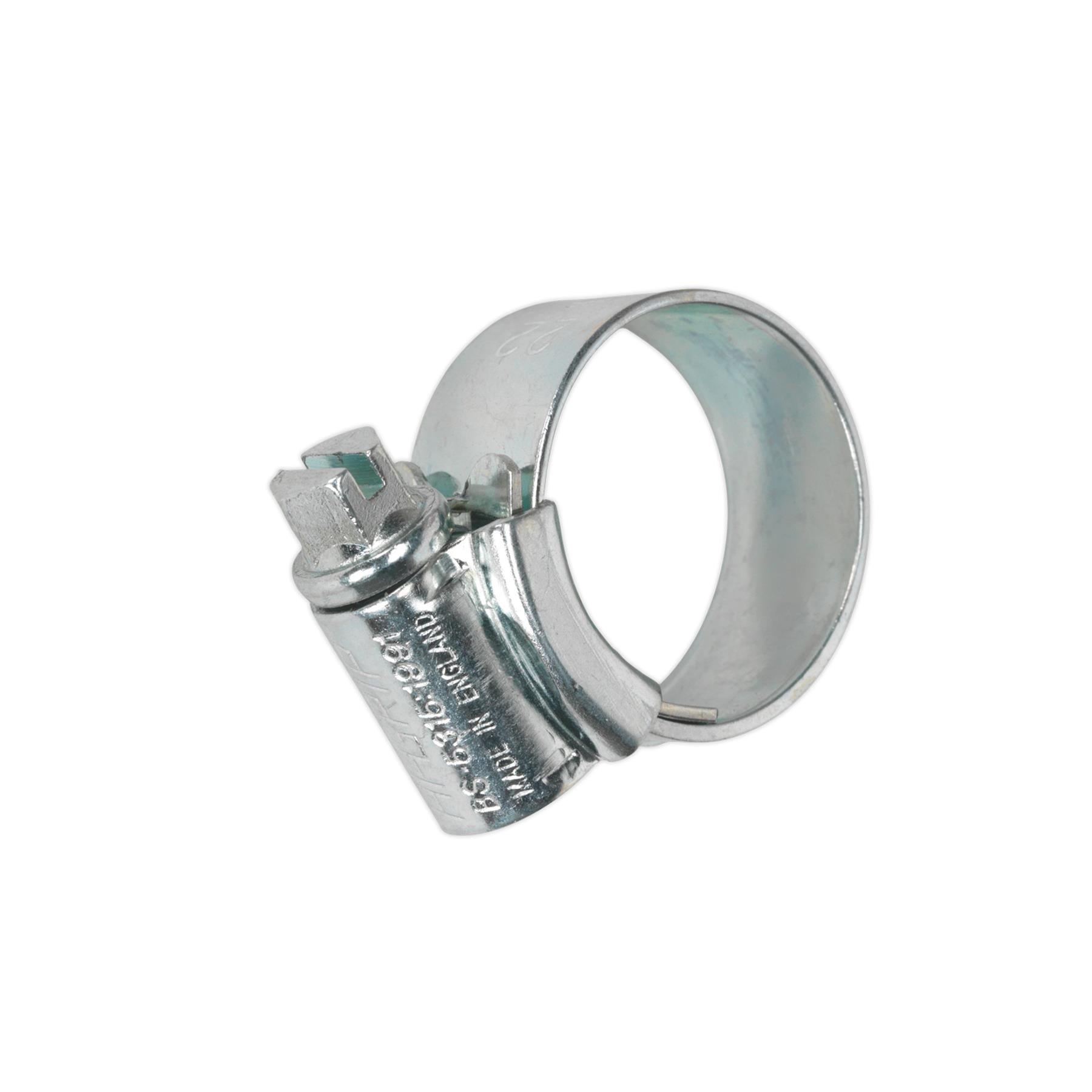 Sealey HI-GRIP Hose Clip Zinc Plated 14-22mm Pack of 30