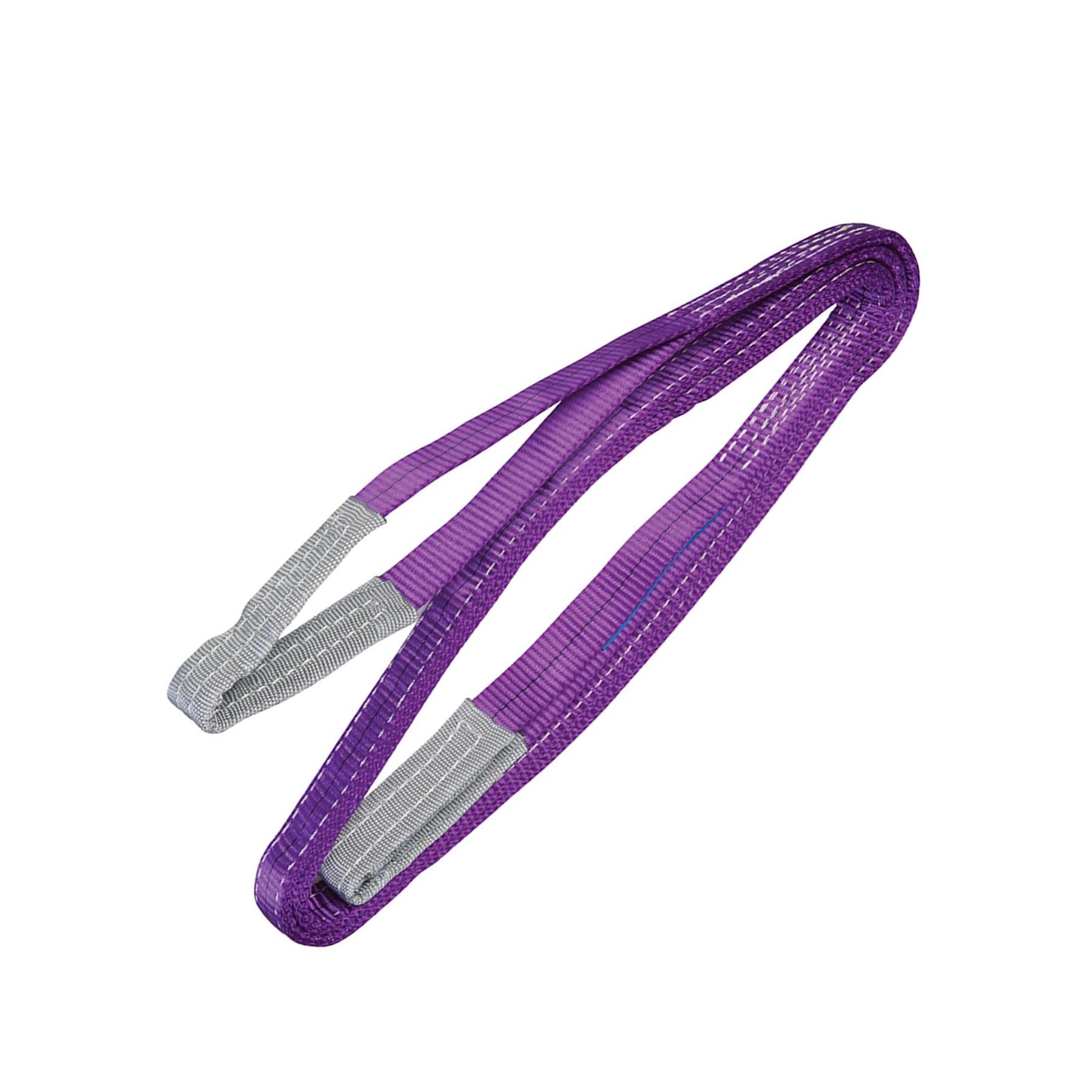 1 Tonne Webbing Lifting Sling Certified Duplex Cargo Strap Hoist Strop 3m
