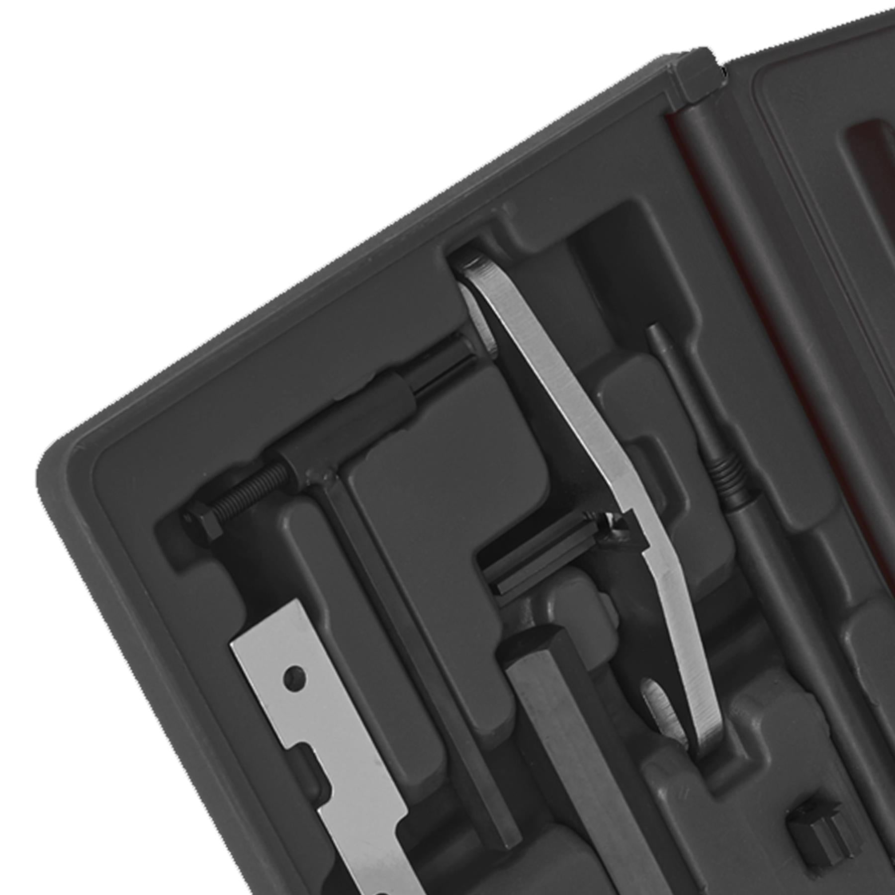 Die Eng S/L Kit & Timing Chain R&I Kit-Ford-Belt/Chain Drive. Sealey