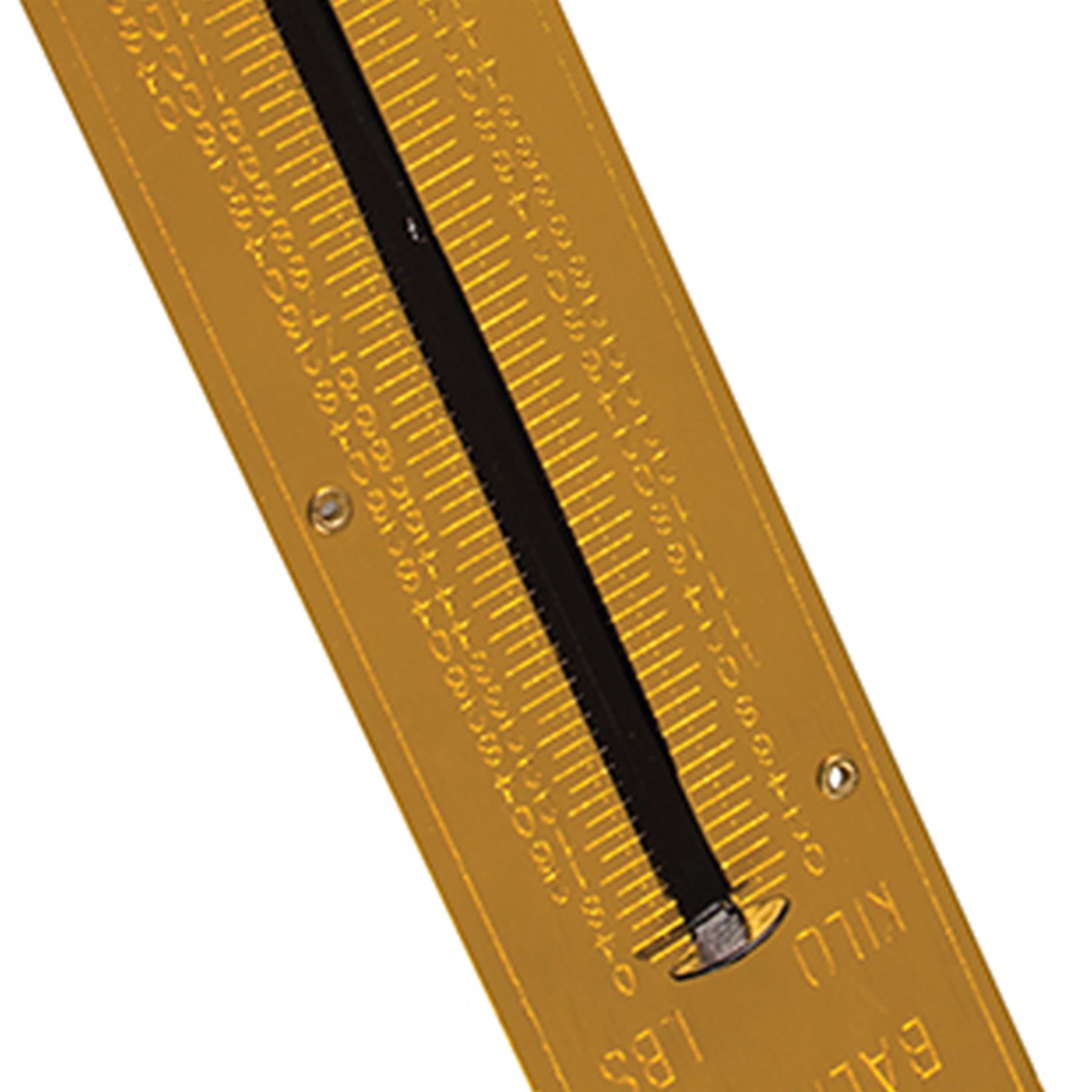 Steel Spring Balance 50Kg Weigh Luggage Travel Farming Fishing Building Use