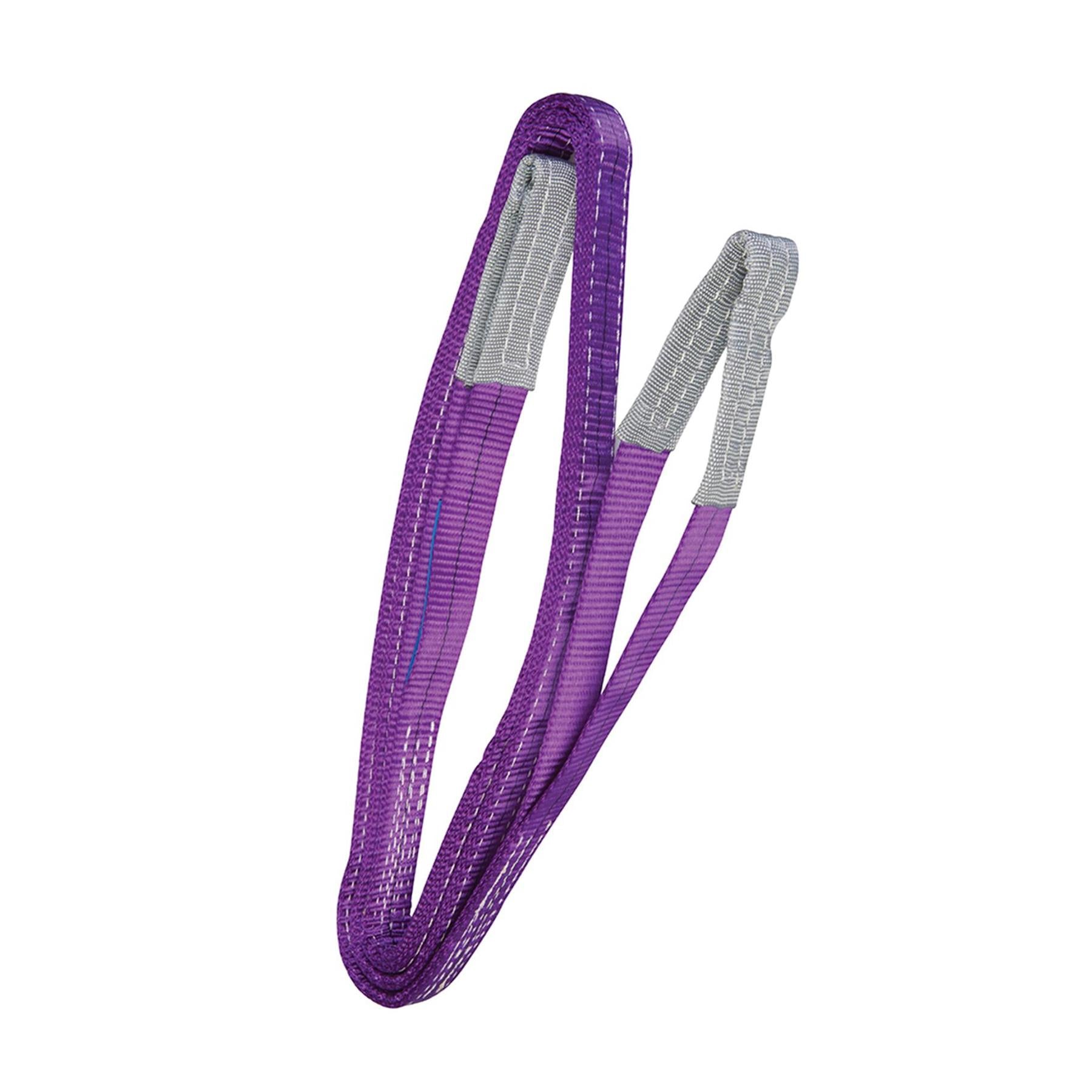 1 Tonne Webbing Lifting Sling Certified Duplex Cargo Strap Hoist Strop 3m