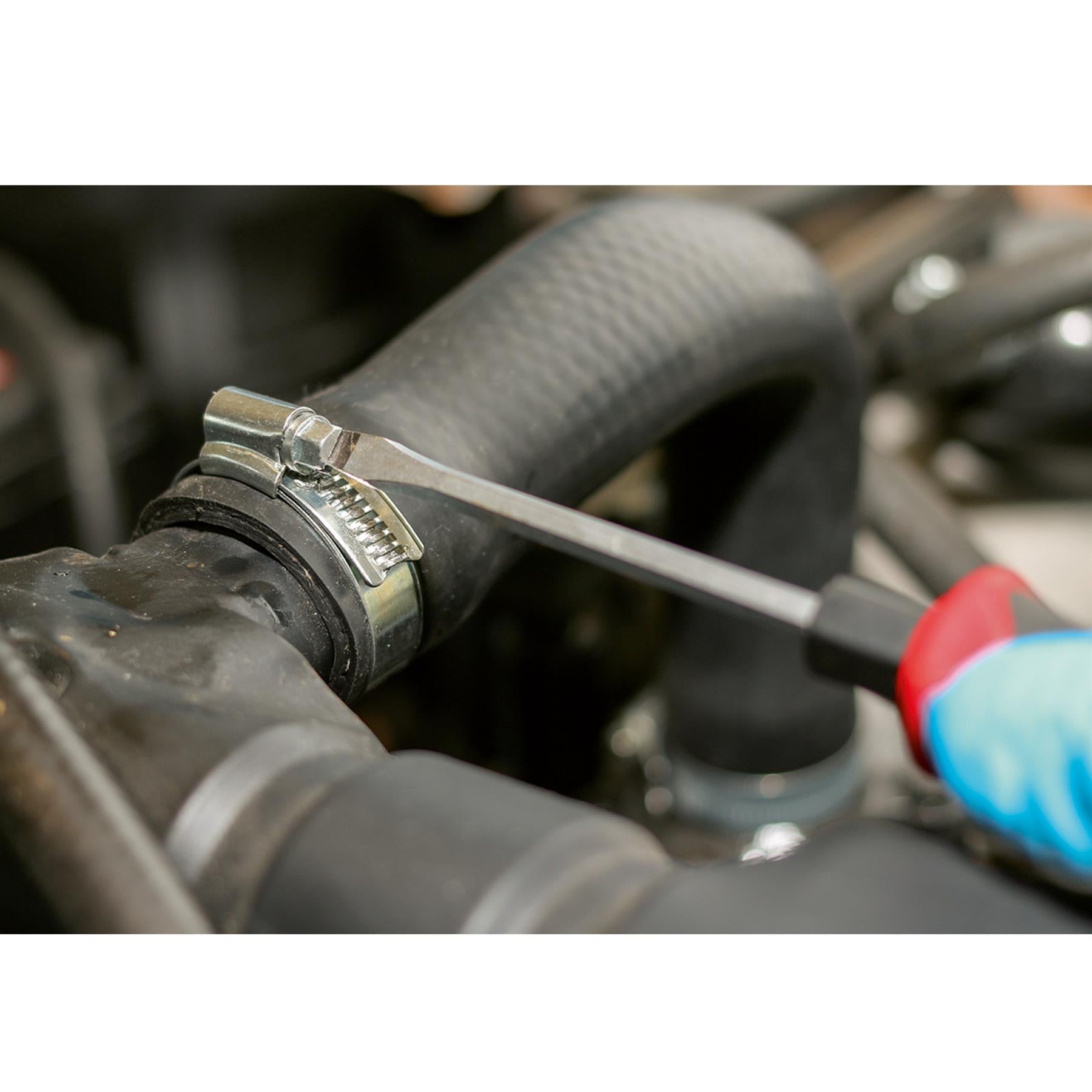 Sealey HI-GRIP Hose Clip Zinc Plated �40-55mm Pack of 20