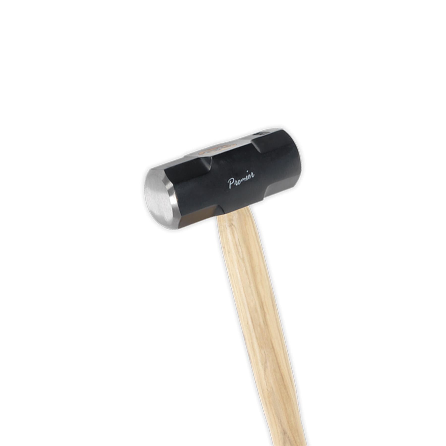 Sealey Sledge Hammer 10lb Hickory Shaft