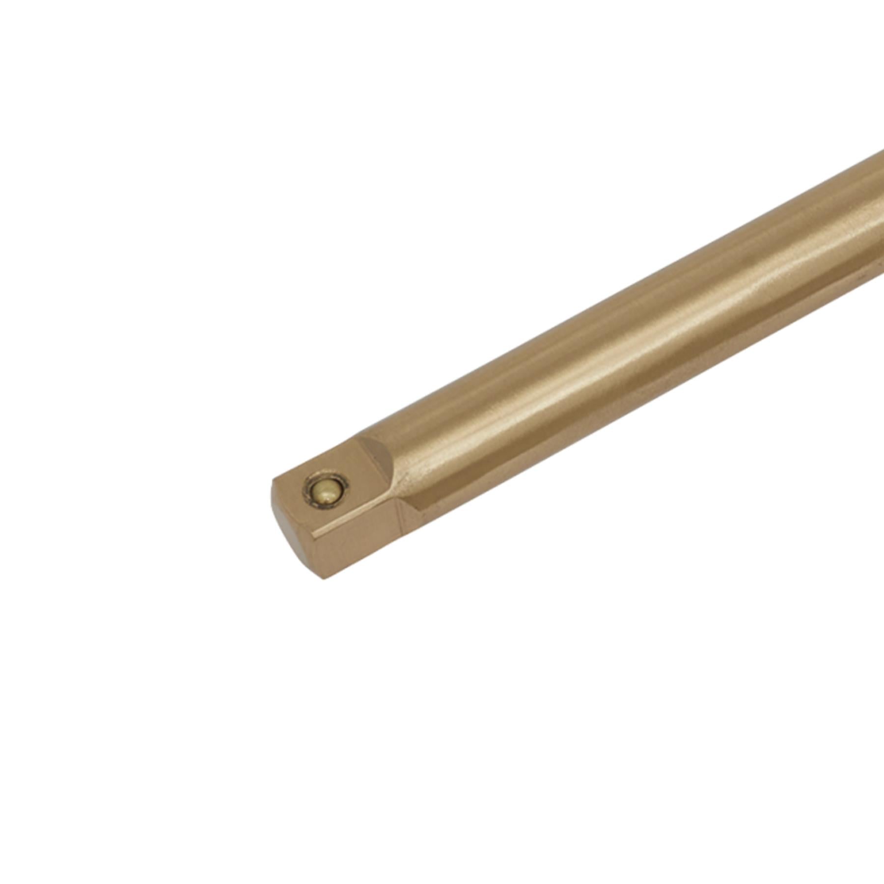 Sealey Extension Bar 1/2"Sq Drive 250mm - Non-Sparking