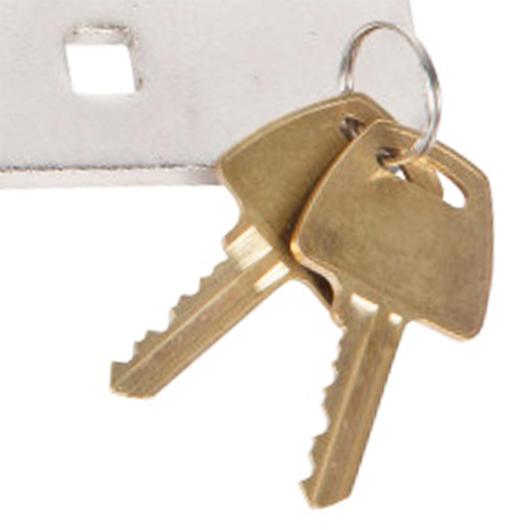 BlueSpot Van Lock Garden Shed 73mm Security Padlock Hasp Set Chrome Plated