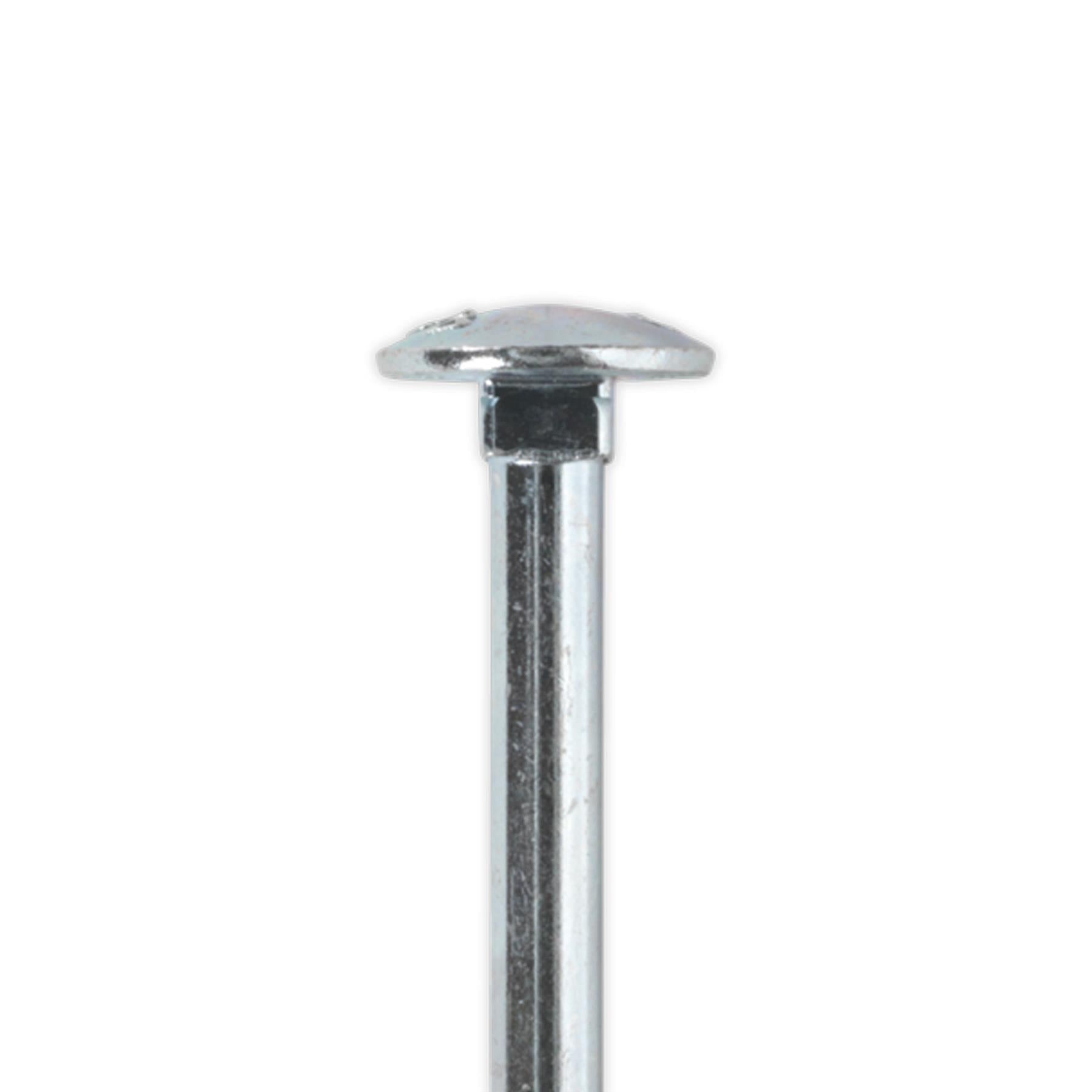 Sealey Coach Bolt & Nut DIN 603 M6 x 75mm Zinc Pack of 100