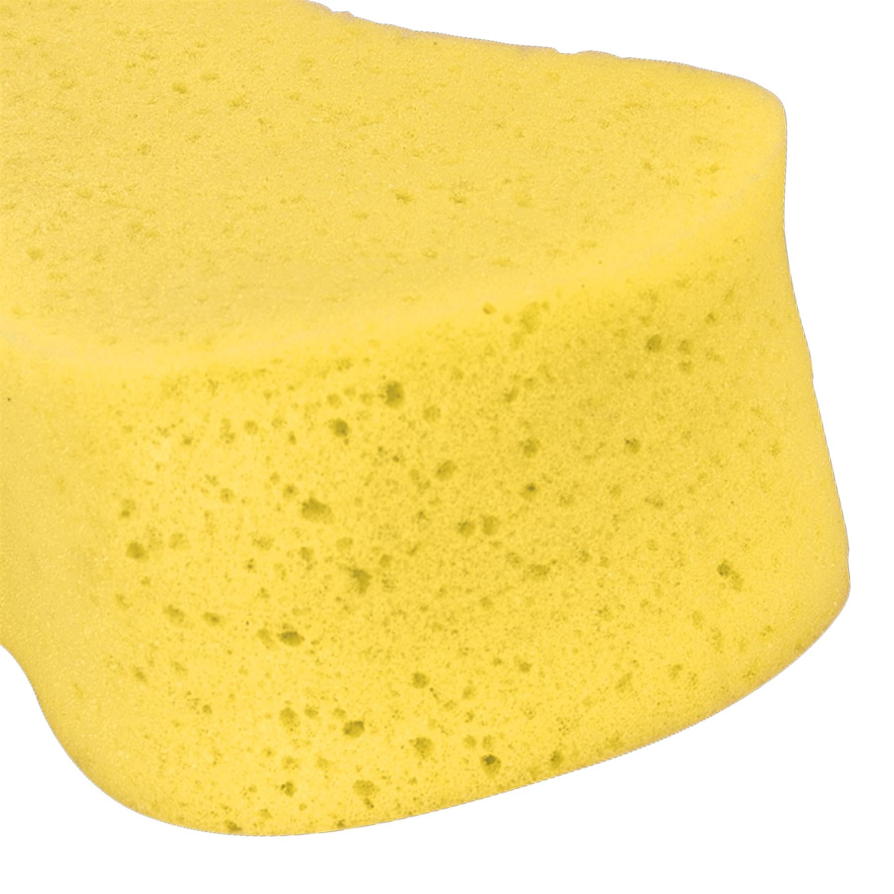 Sealey Large Compressed Sponge Cleaning Aids Car Cleaning