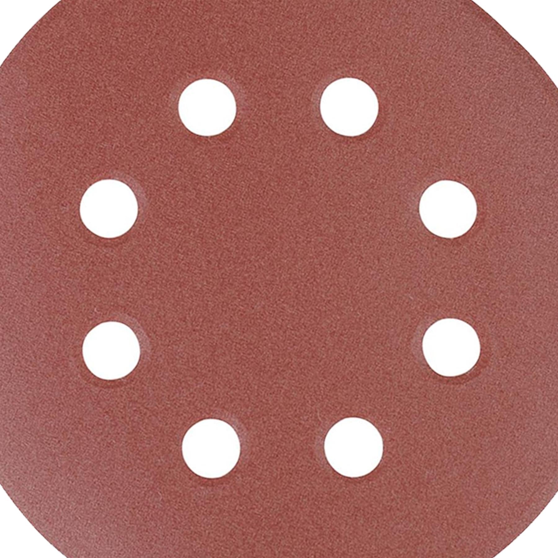 Punched Sanding Discs 125mm 10Pk Grit 40 Hook & Loop Aluminium Oxide DIY