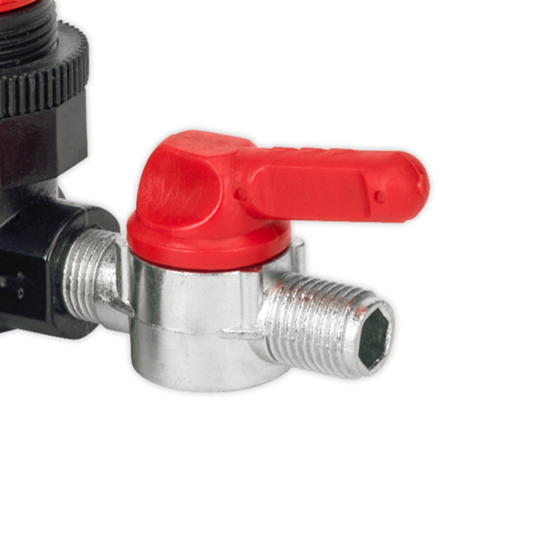 Sealey Air Regulator 1/4"BSP Female - 1/4"BSP Male