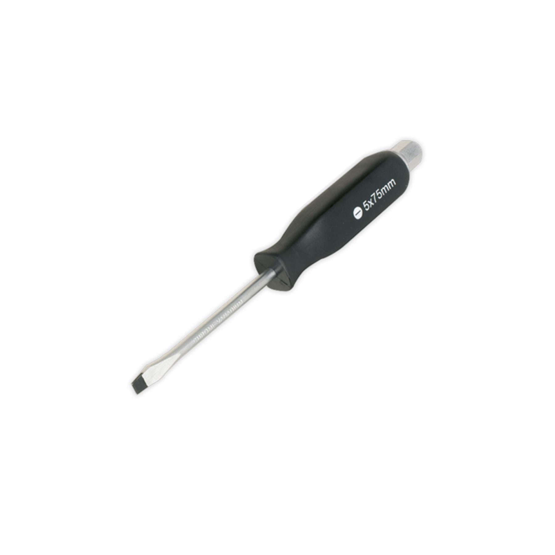 Sealey Screwdriver Set 6pc Hammer-Thru