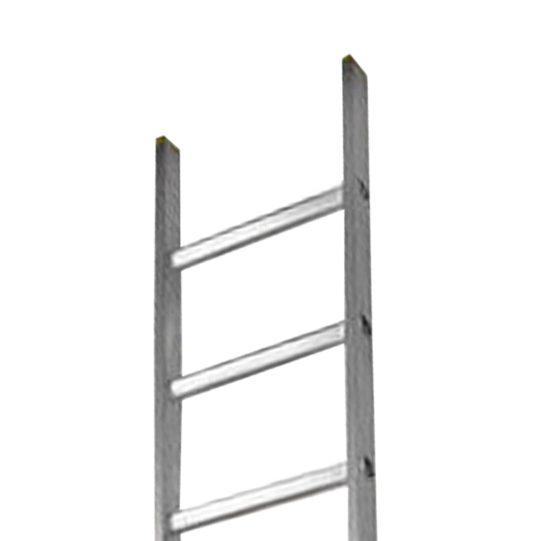 Dapetz PRo 11 Rung Aluminium Extension Ladder 3m, Single Section, Made In Uk