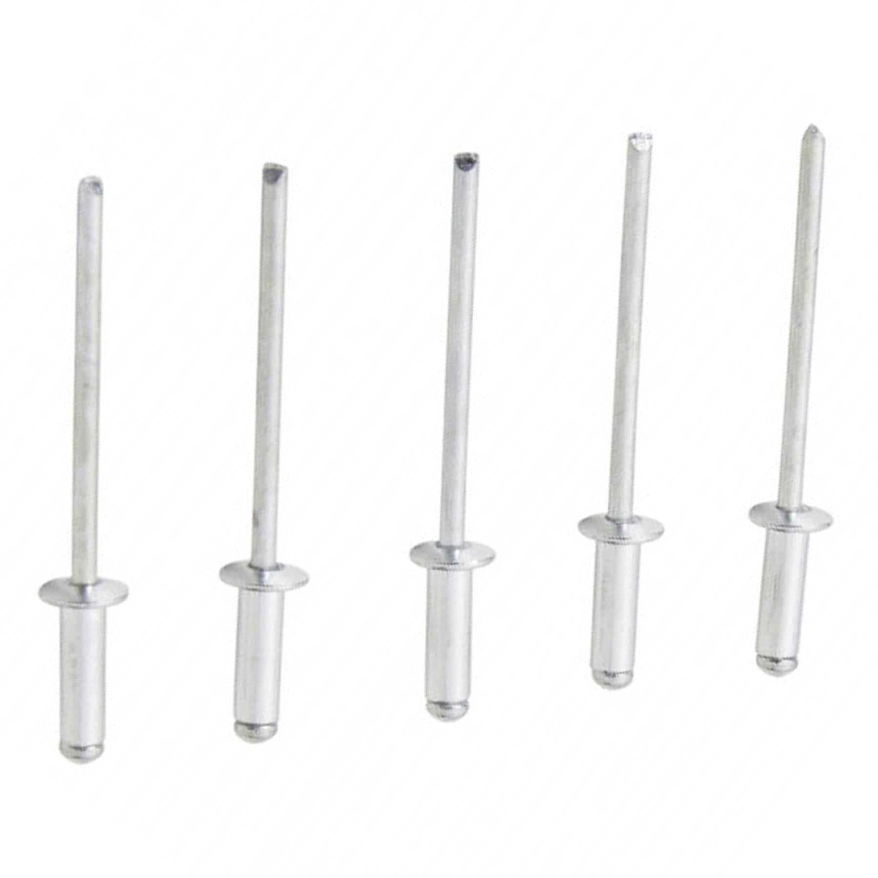 BlueSpot Rivet Guns 100Pce 3.2mm X 10mm & Aluminium Pop Rivits Trade