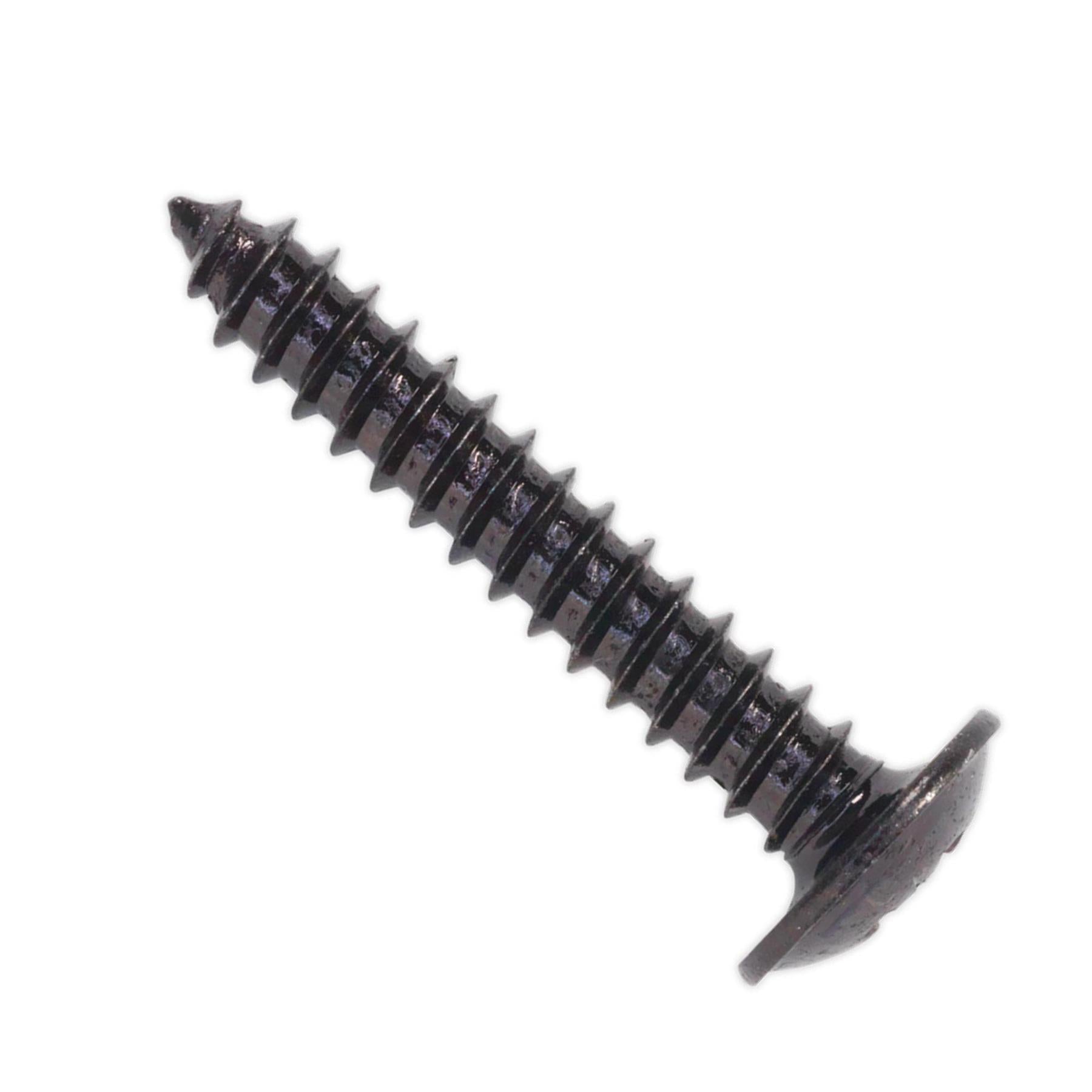 Self Tapping Screw 4.2 x 25mm Flanged Head Black Pozi Pack of 100 Sealey