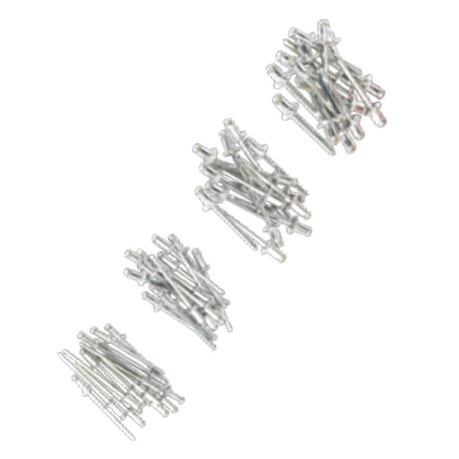 Sealey Hand Riveter Kit