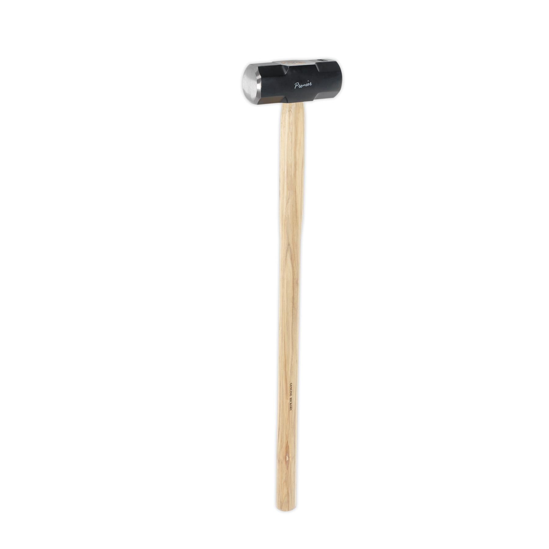 Sealey Sledge Hammer 10lb Hickory Shaft
