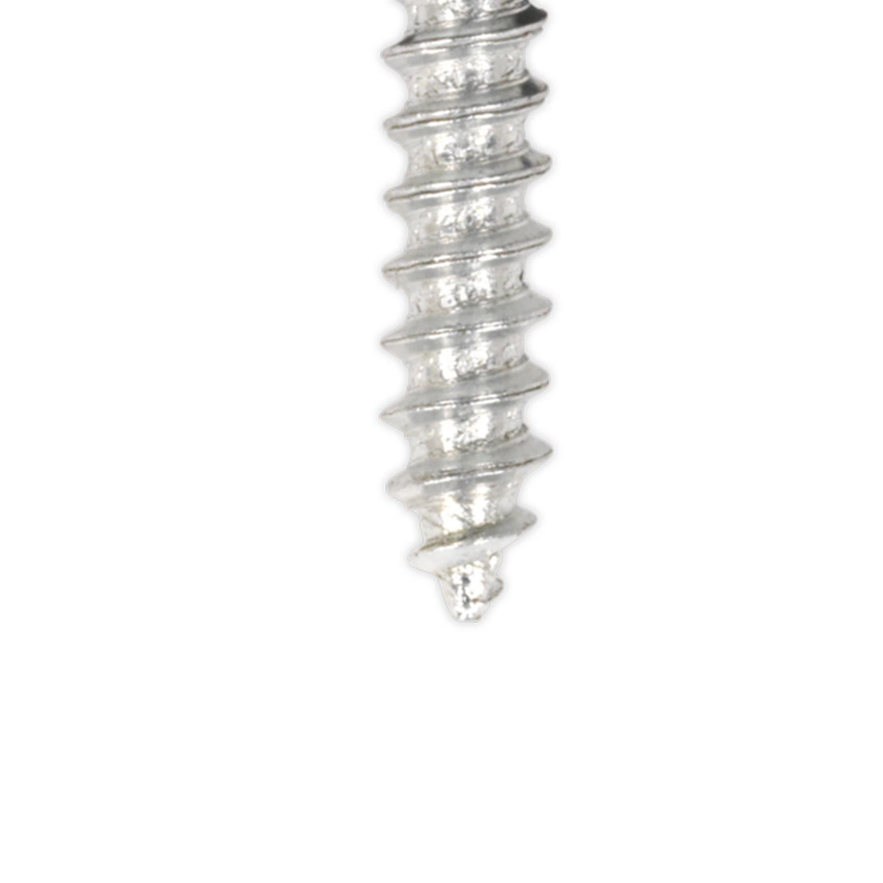 Sealey Numberplate Screw & Flip Cap 4.2 x 19mm Black Pack of 50