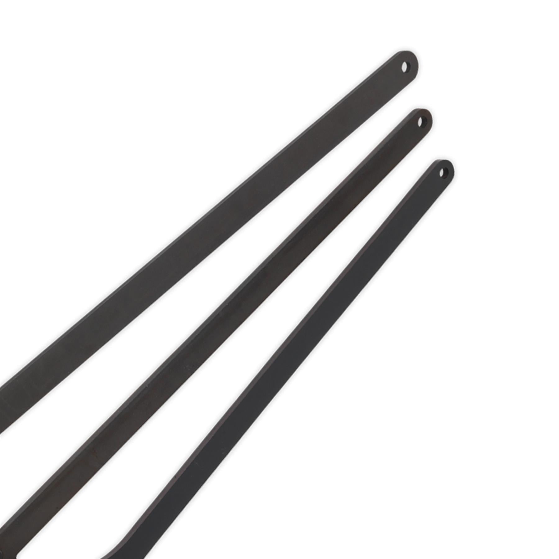 Sealey Viscous Fan Spanner Set - for Land Rover/Range Rover - Chain Drive